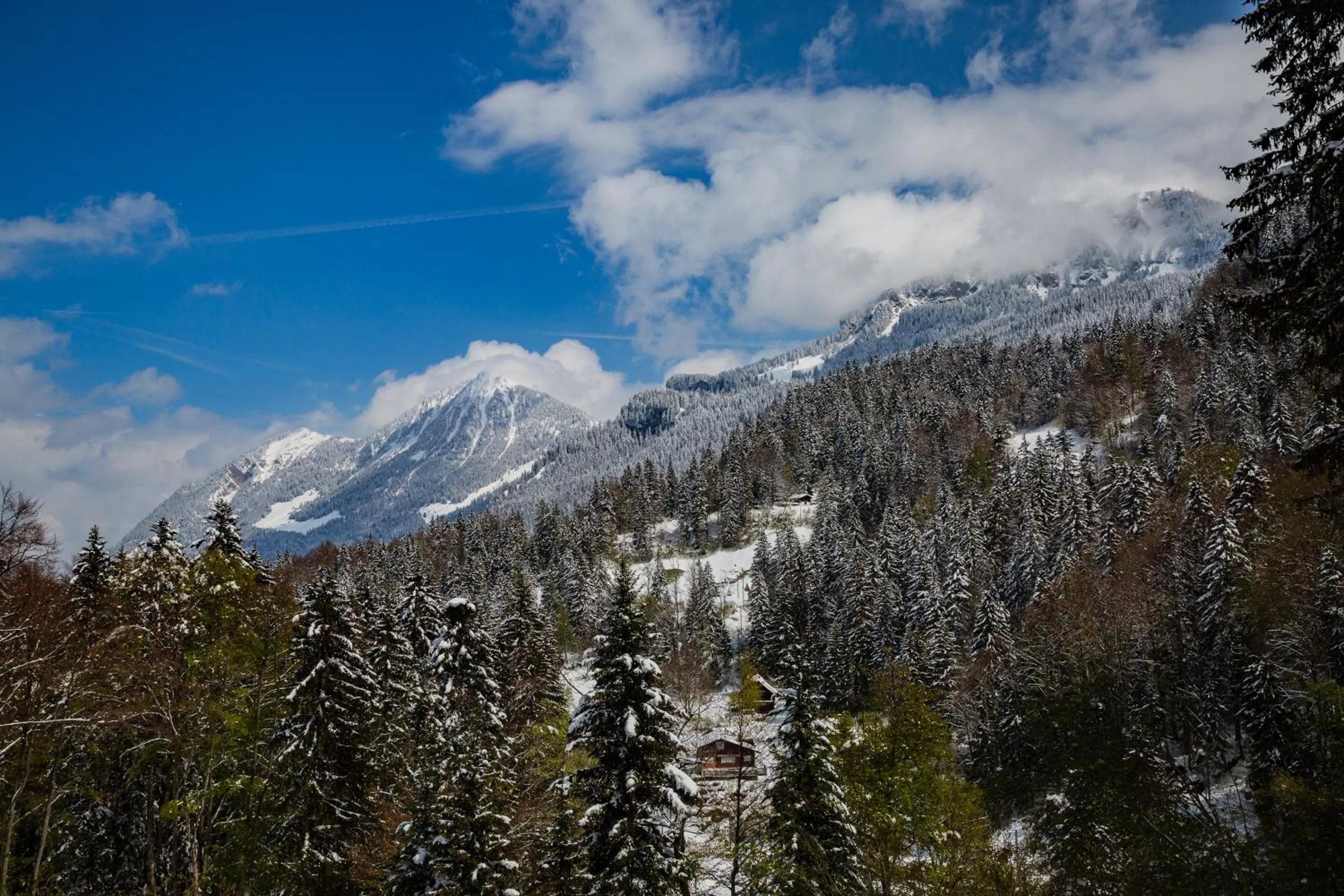 Kunst- und Naturfreundehaus Brünig