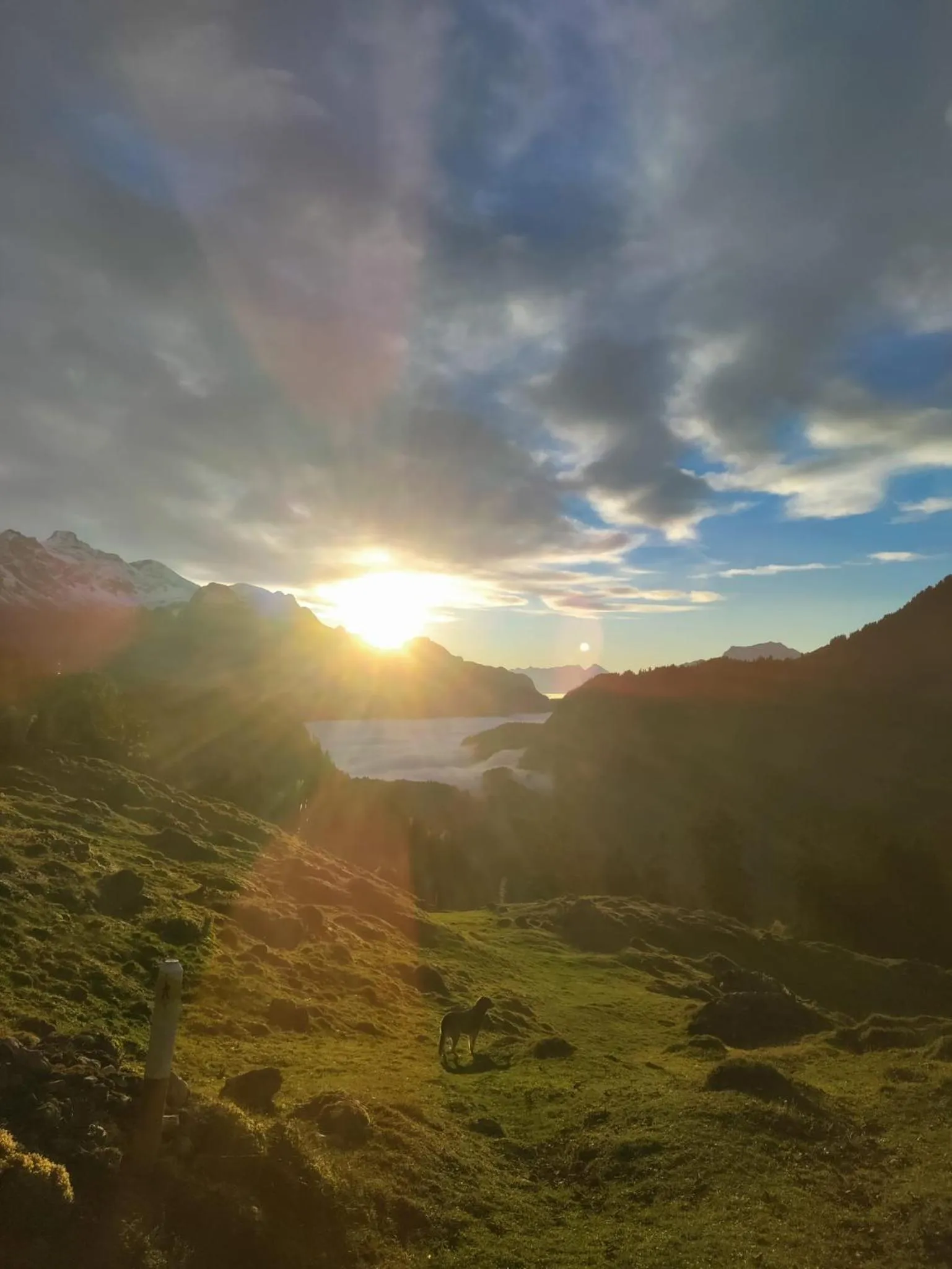 Hiking in Kunst- und Naturfreundehaus Brünig