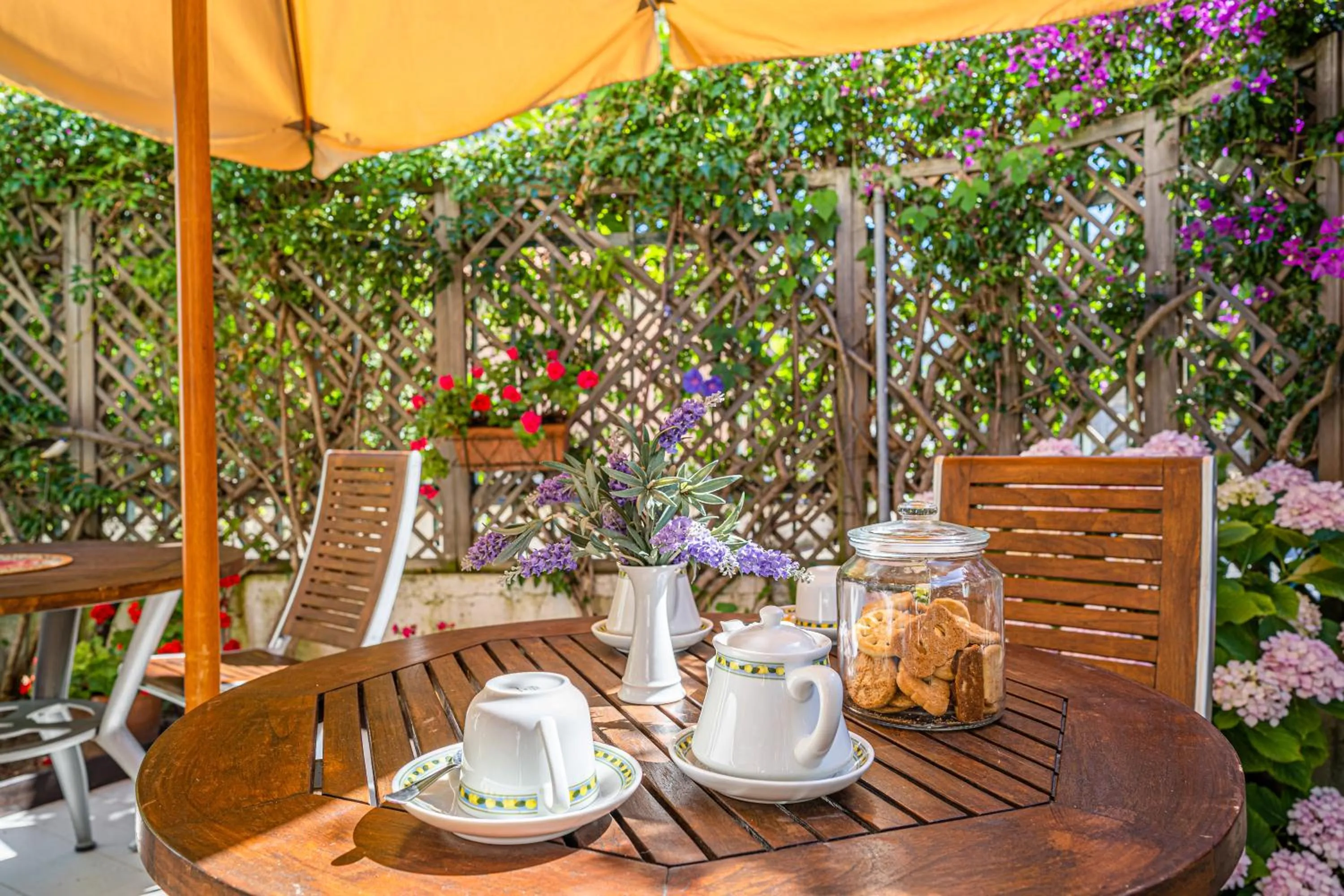 Garden in Hotel Yacht Club