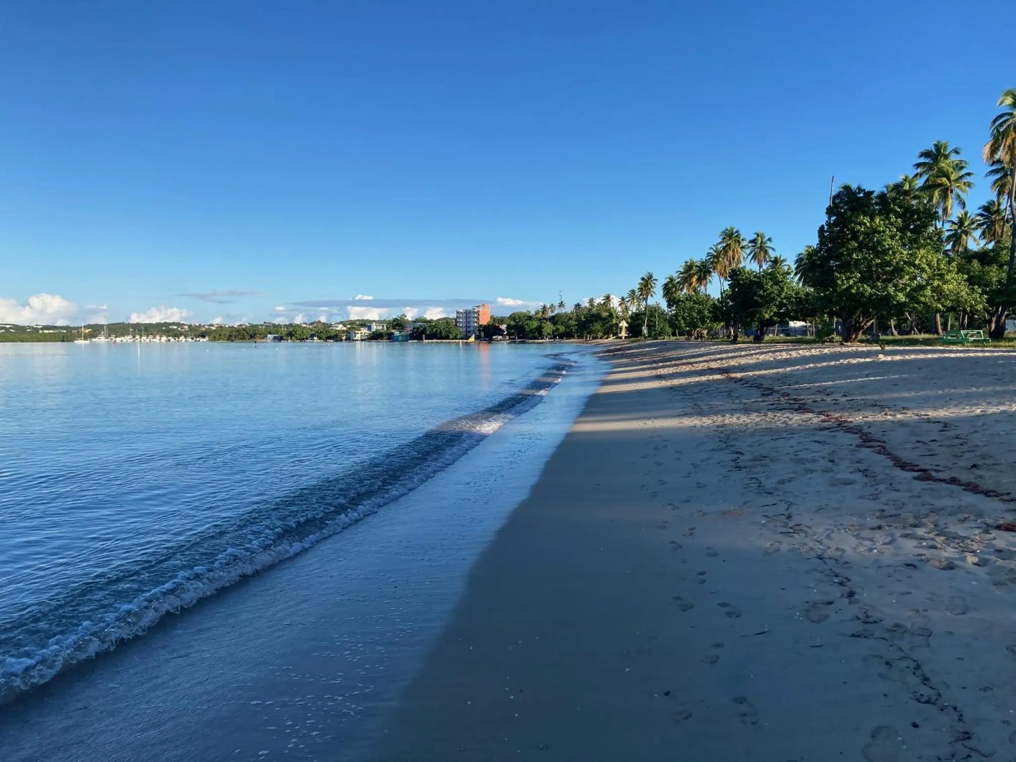 Beach in Wild Flowers Rooms