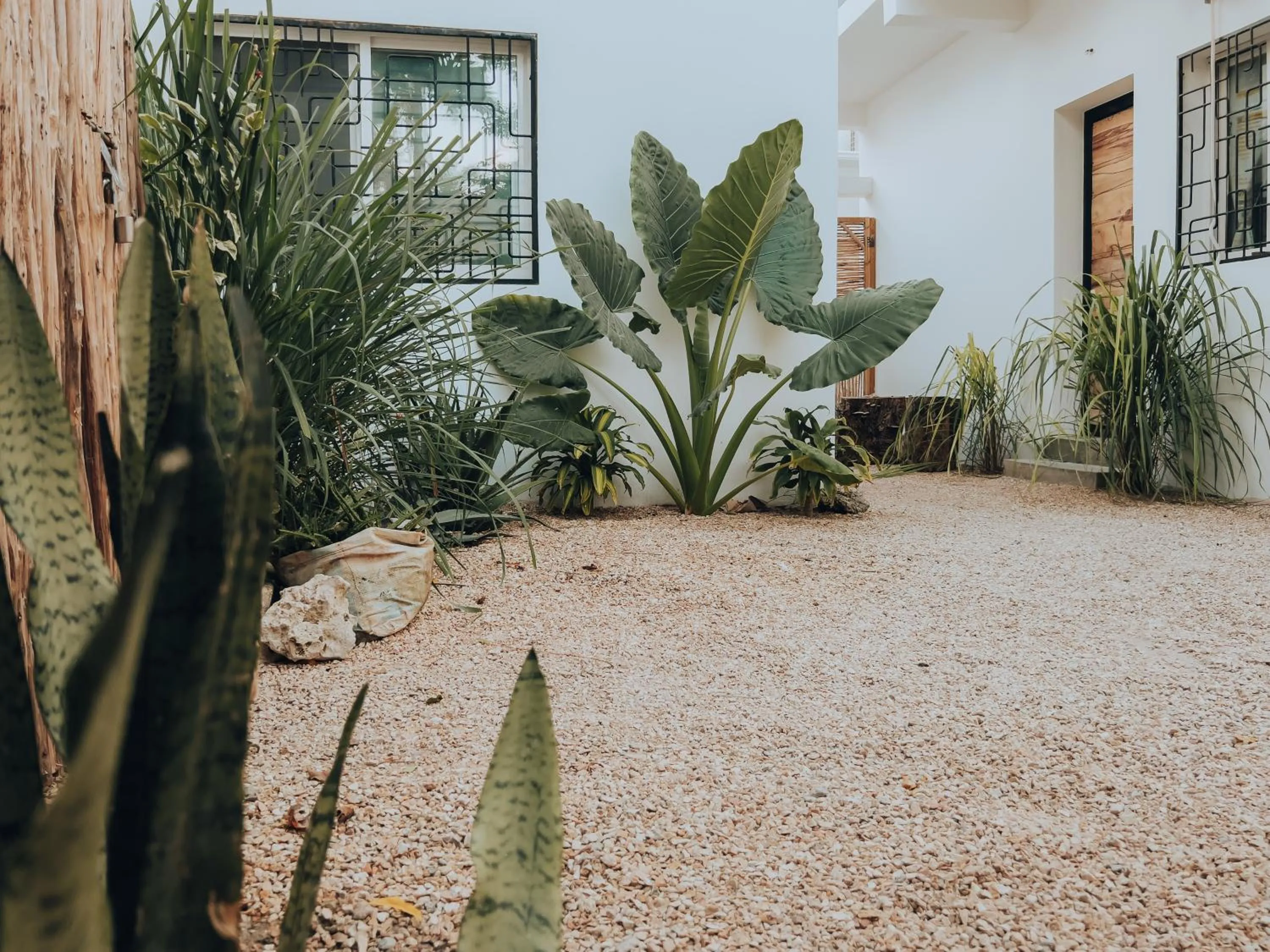 Garden in BaraBara Eat&Sleep