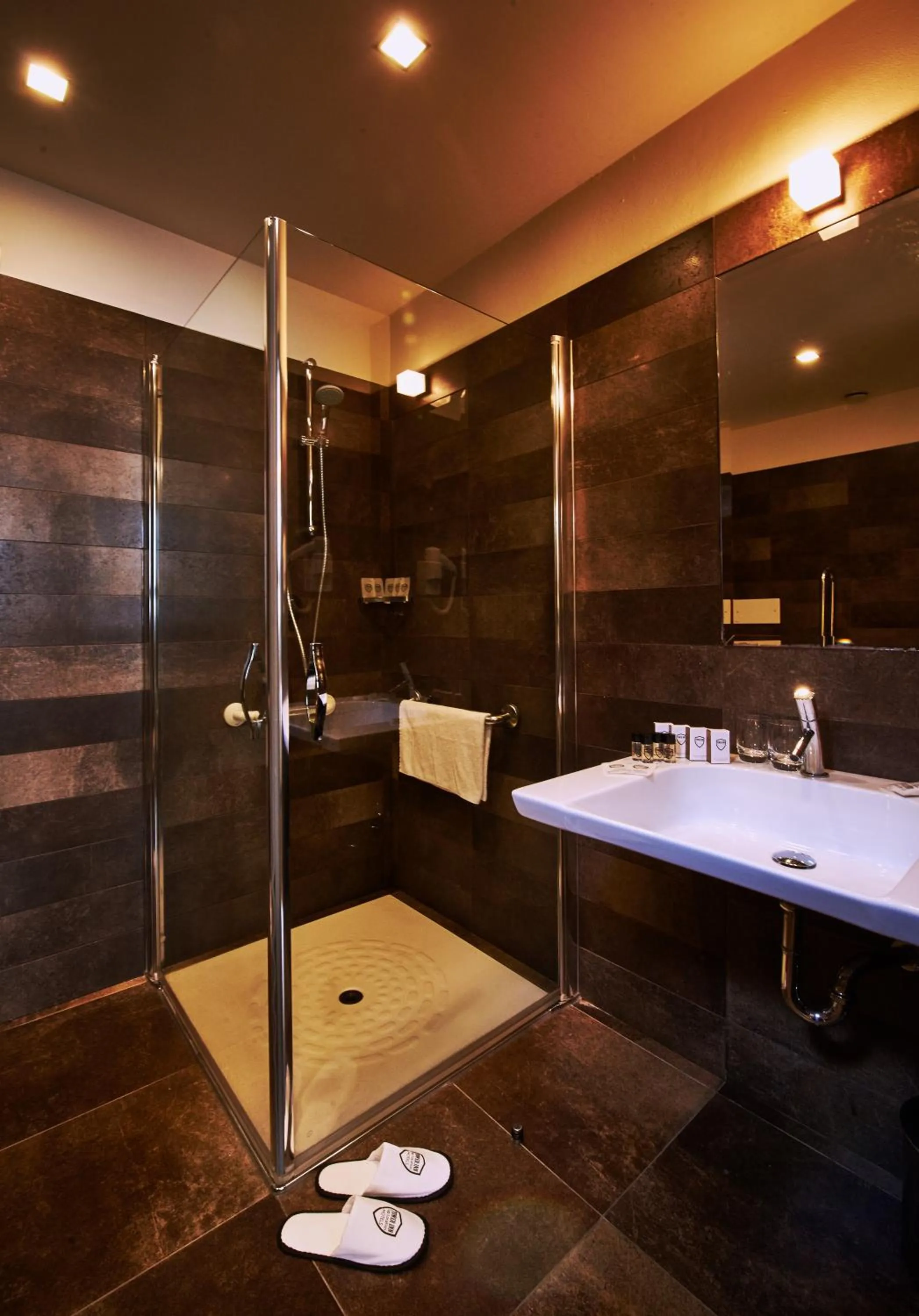 Shower in Hotel Pisa Valdera