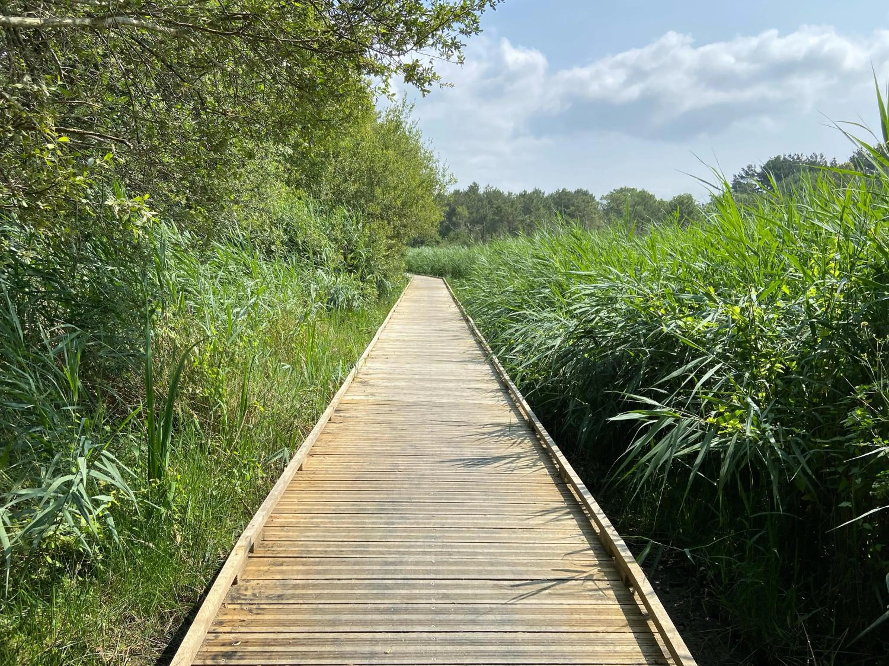 Other in Résidence Ti An Amiral