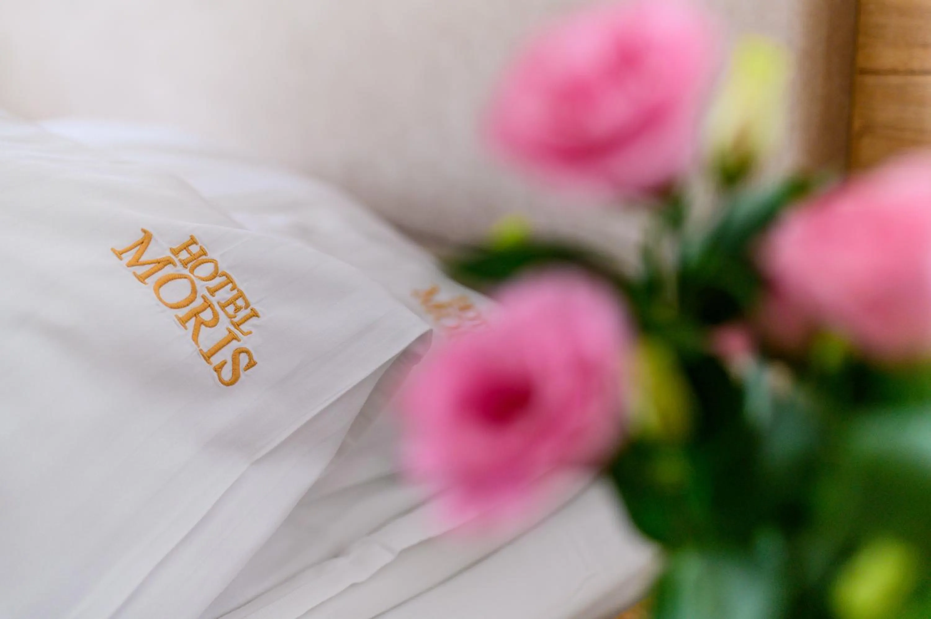 Bed in Moris Boutique Beach Hotel