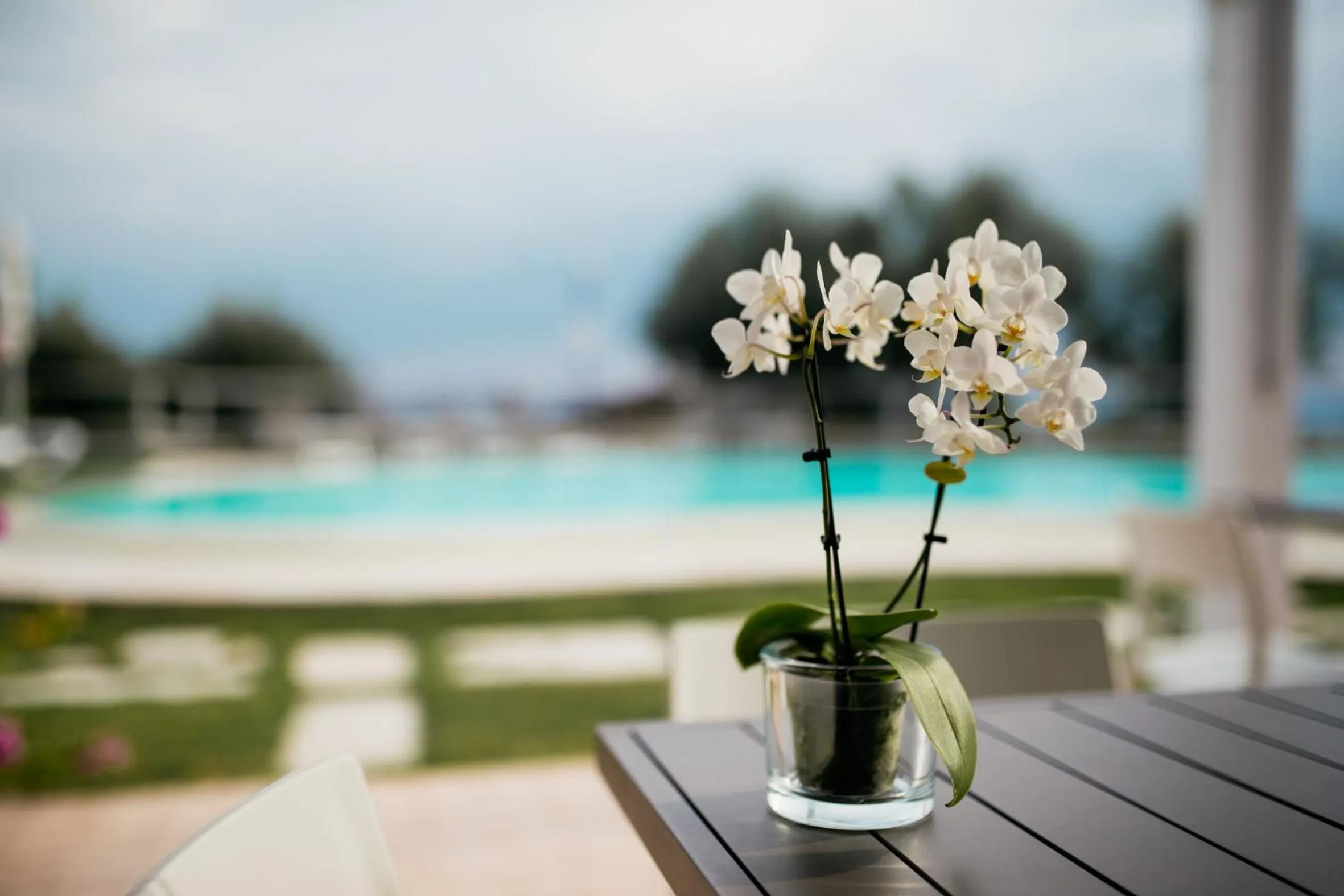 Decorative detail in La Chioma di Berenice Garda Residence