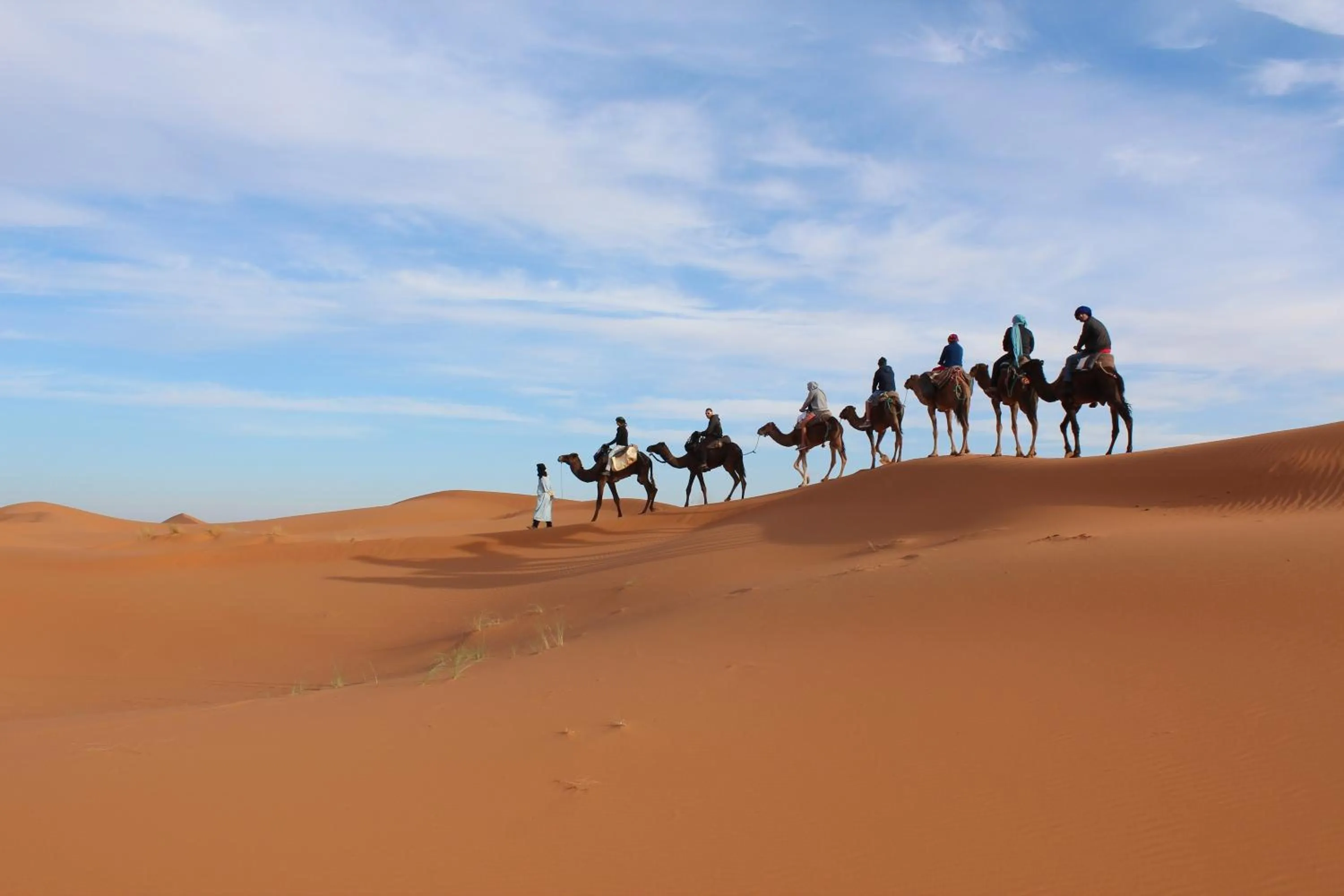 Activities in Hôtel Camping La Liberté