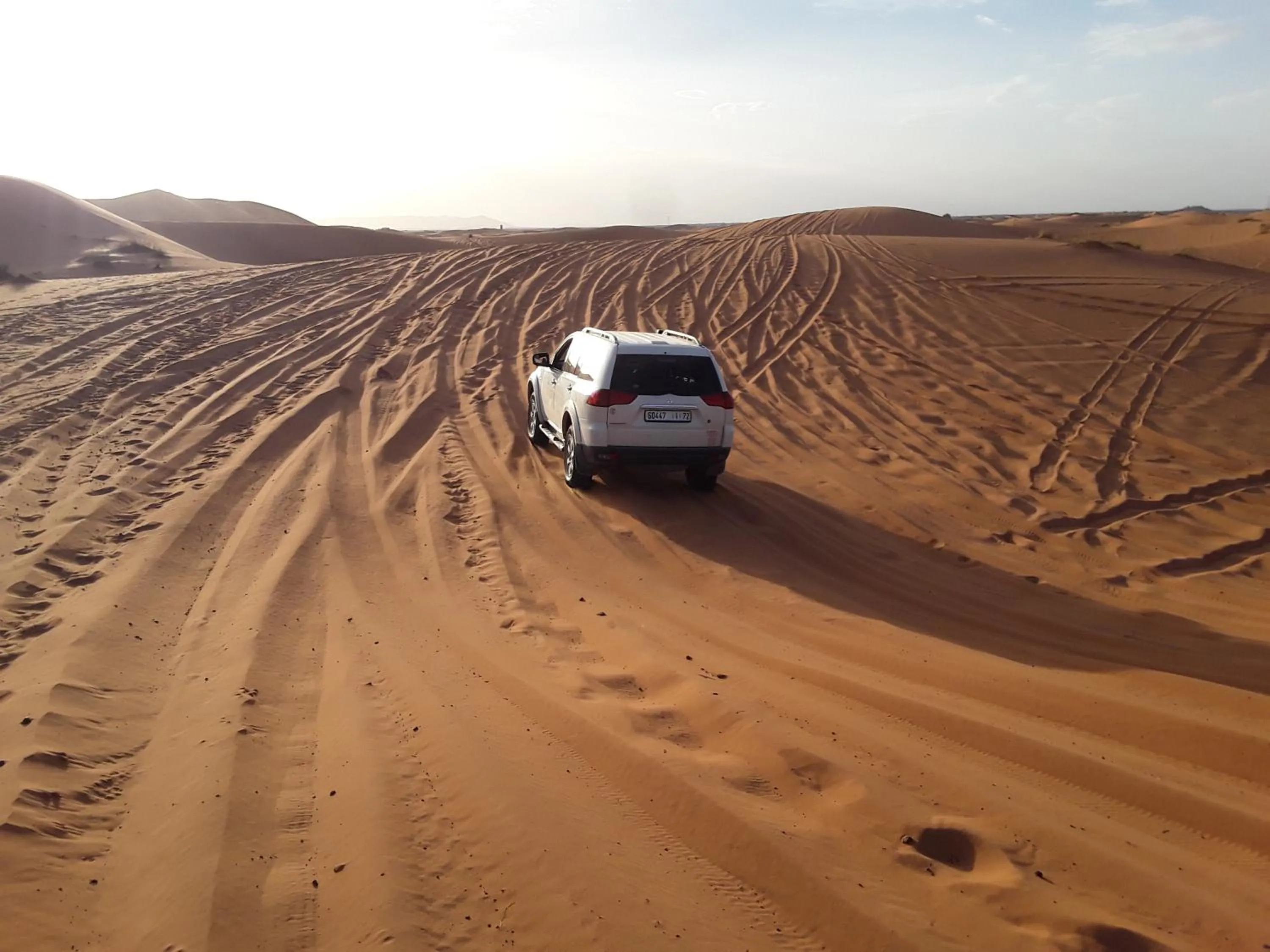 Activities in Hôtel Camping La Liberté