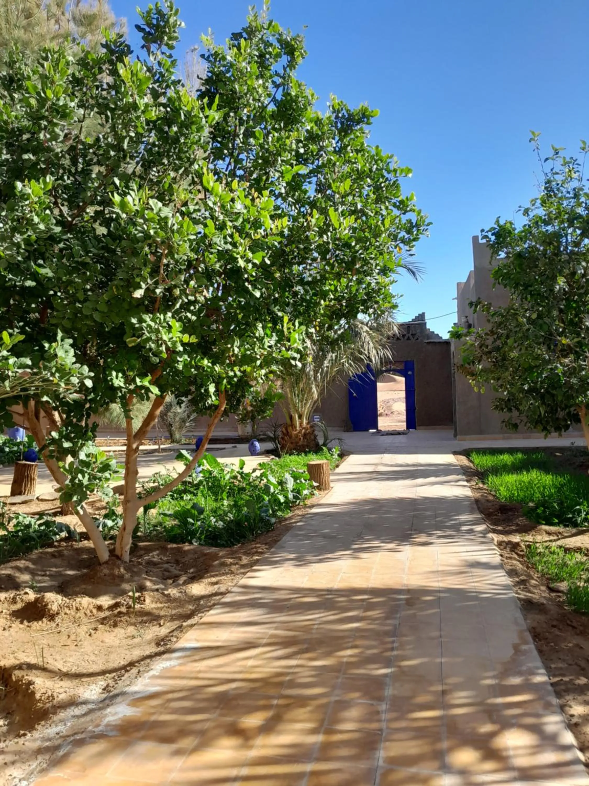Garden in Hôtel Camping La Liberté