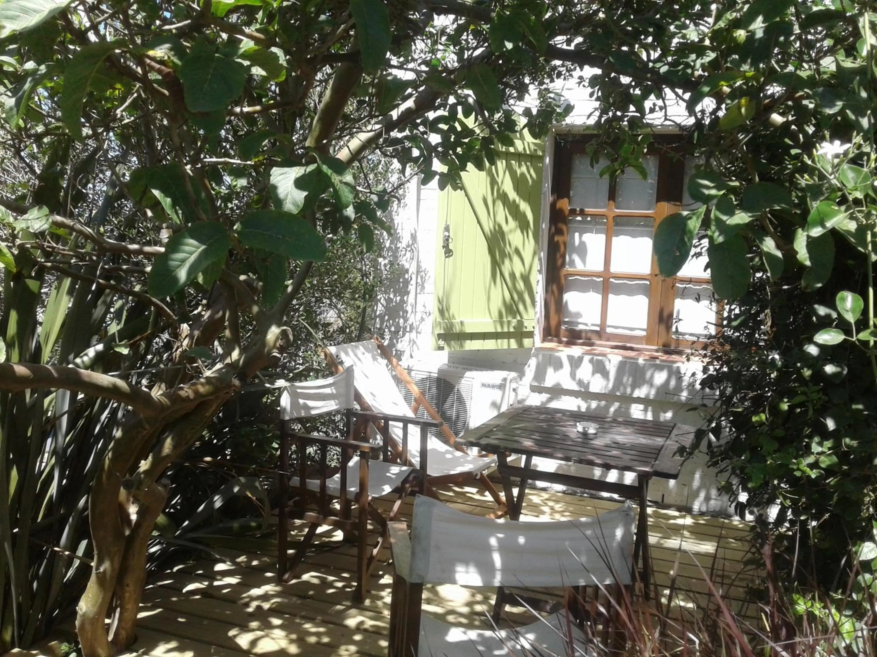 Area and facilities in Complejo Oceanico