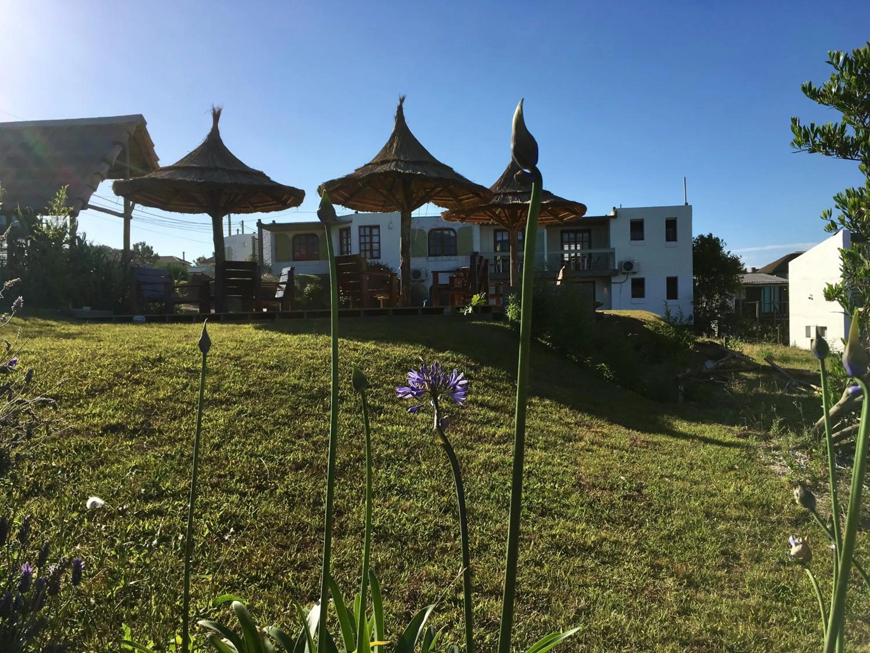 Day in Complejo Oceanico