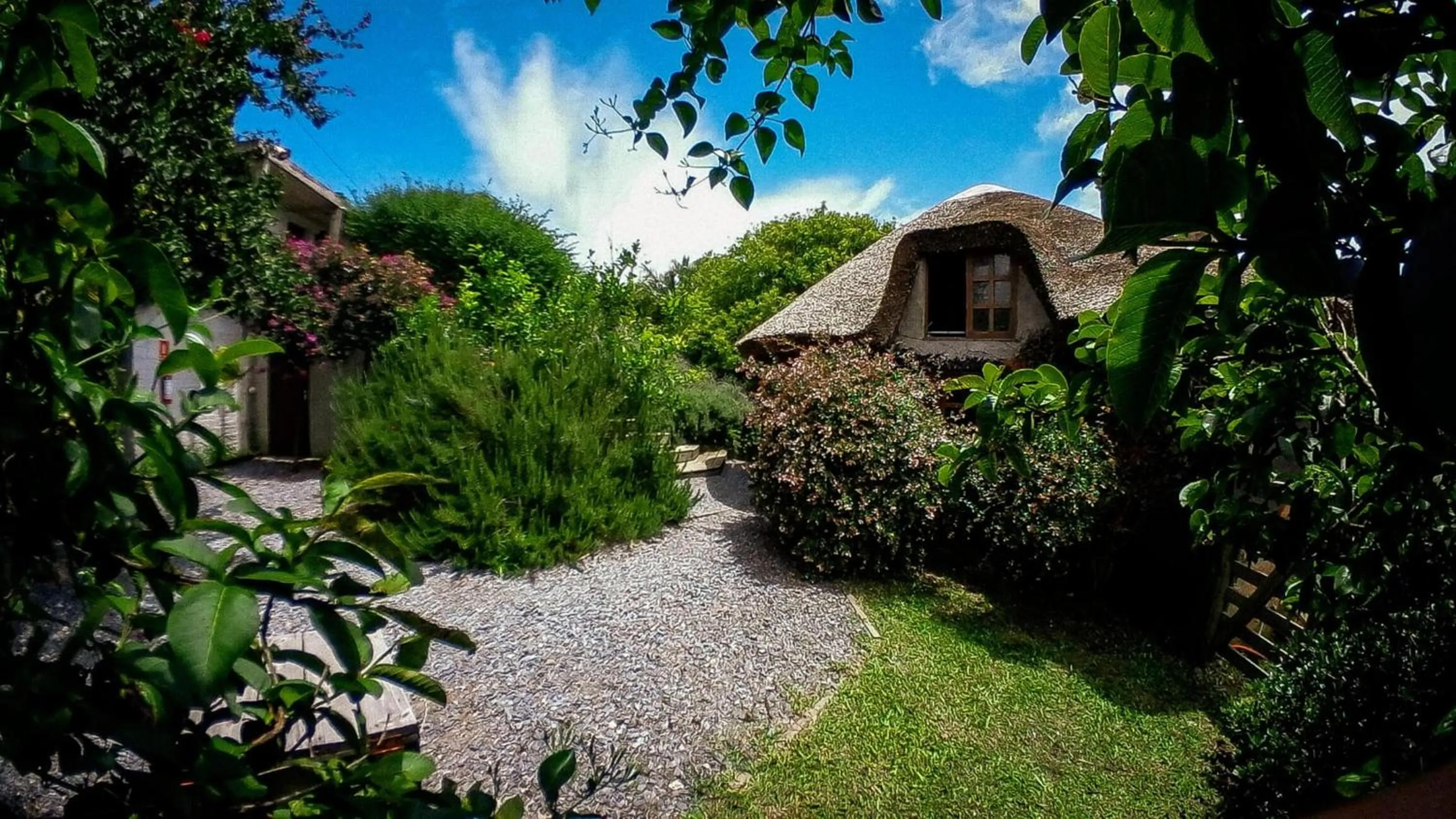 Garden in Complejo Oceanico