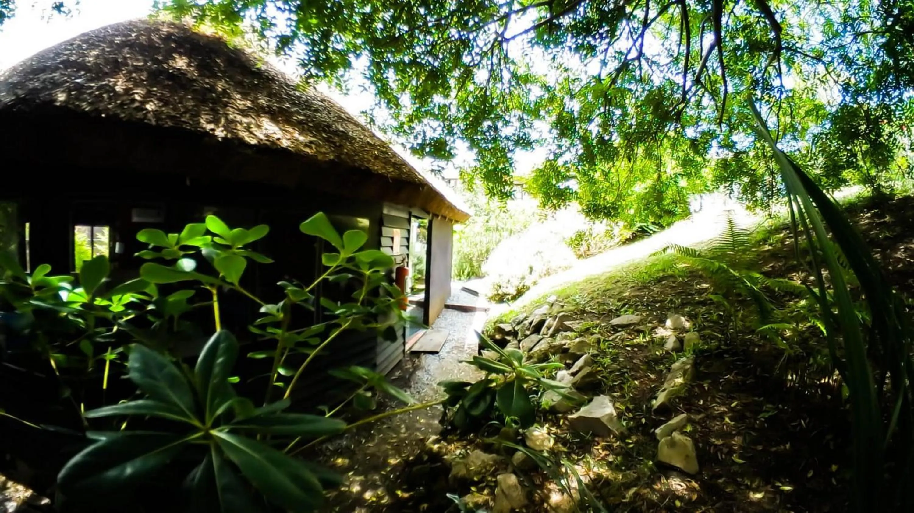 Garden in Complejo Oceanico