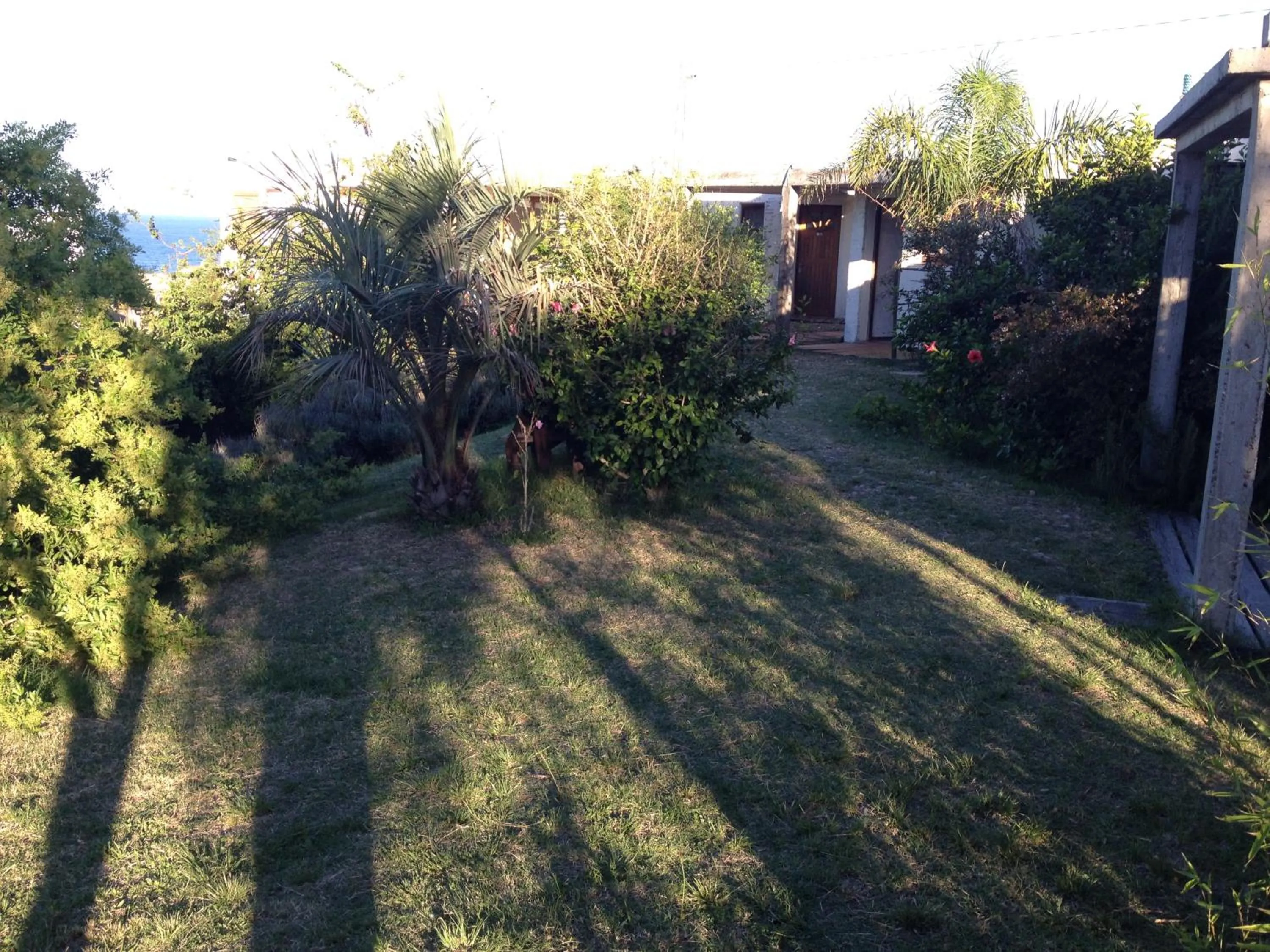 Garden view in Complejo Oceanico