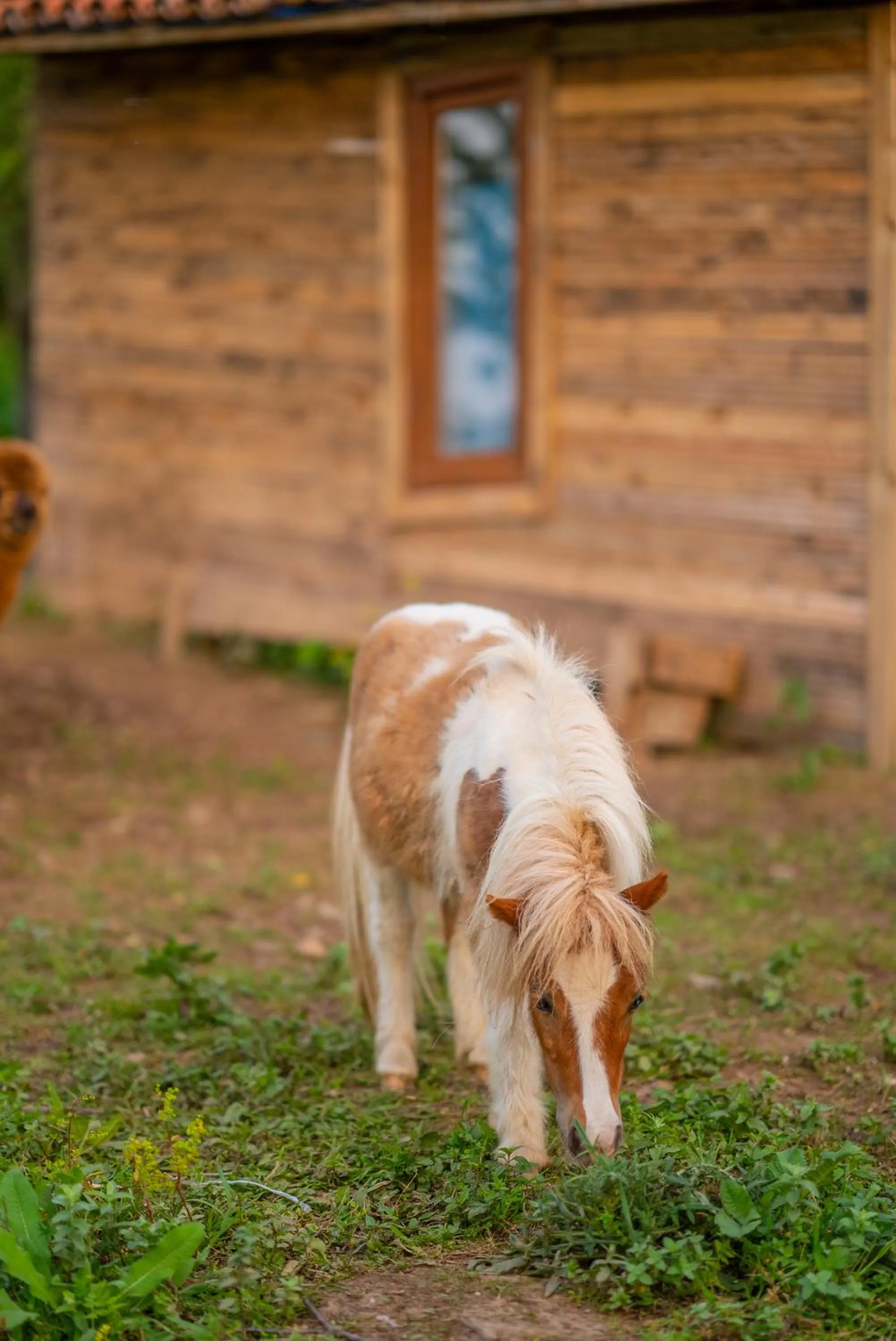Alya Kartepe Villa Hotel