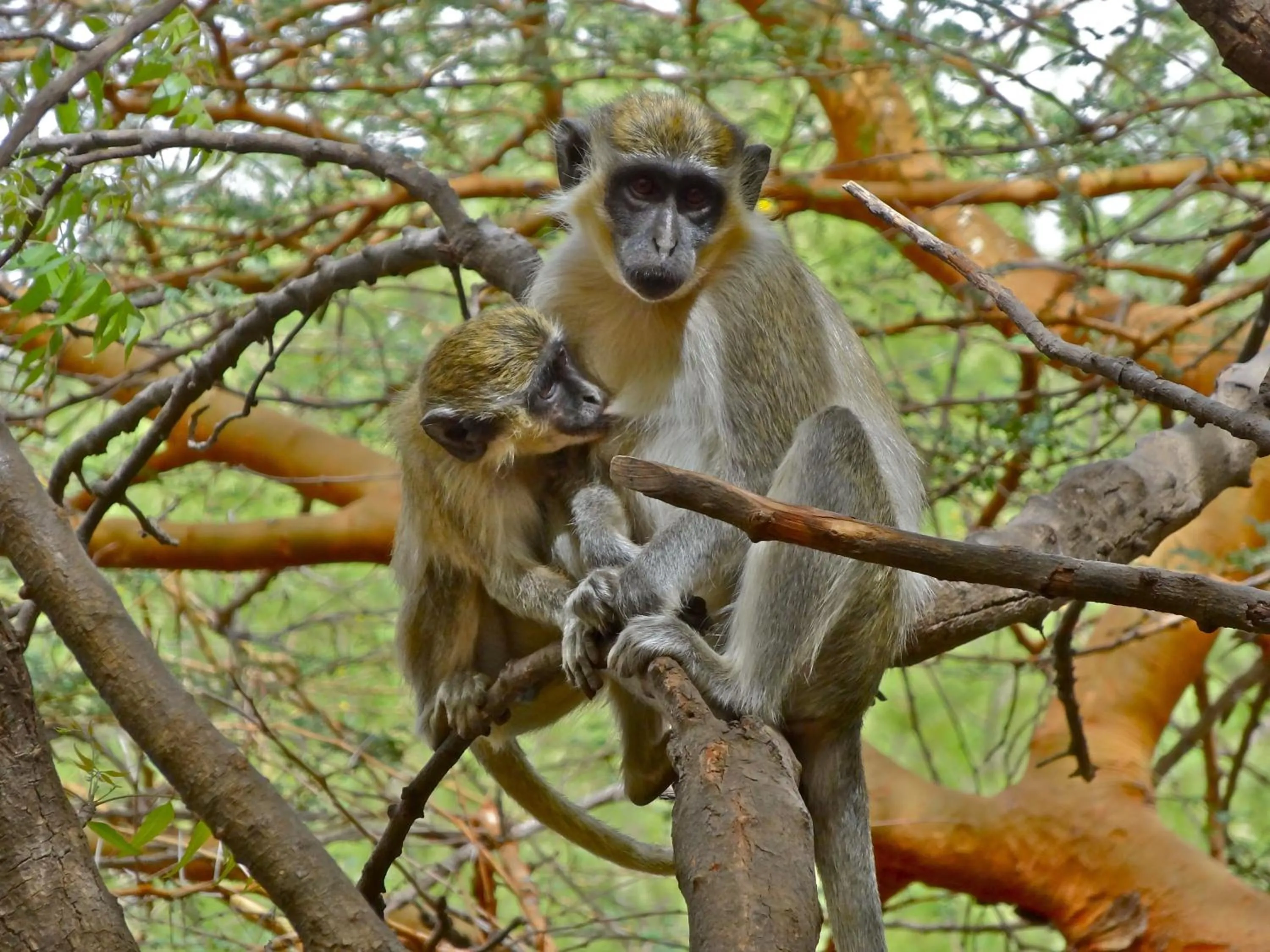 View (from property/room) in HOTEL Le Clos Des Papillons