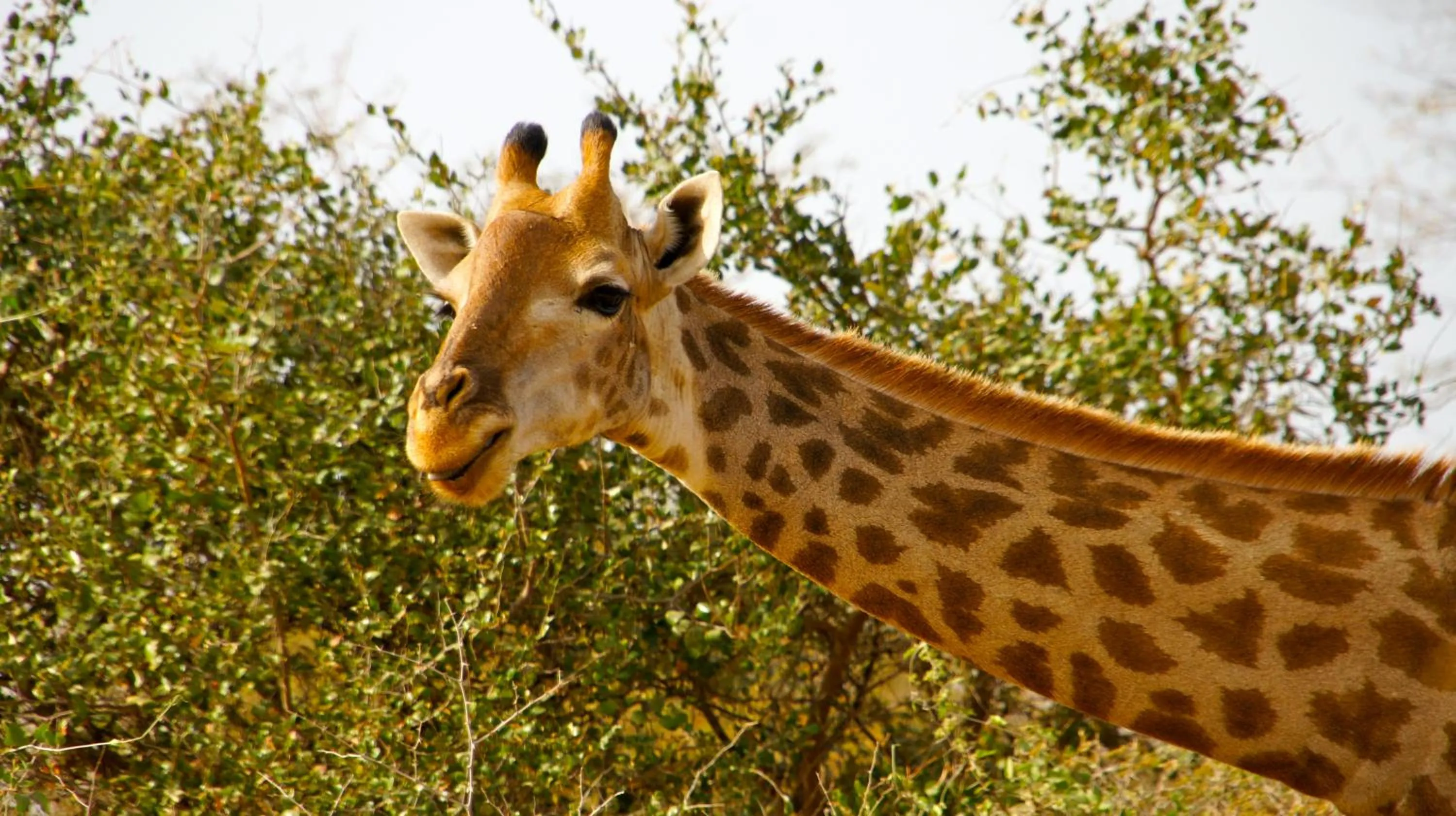 Area and facilities in HOTEL Le Clos Des Papillons