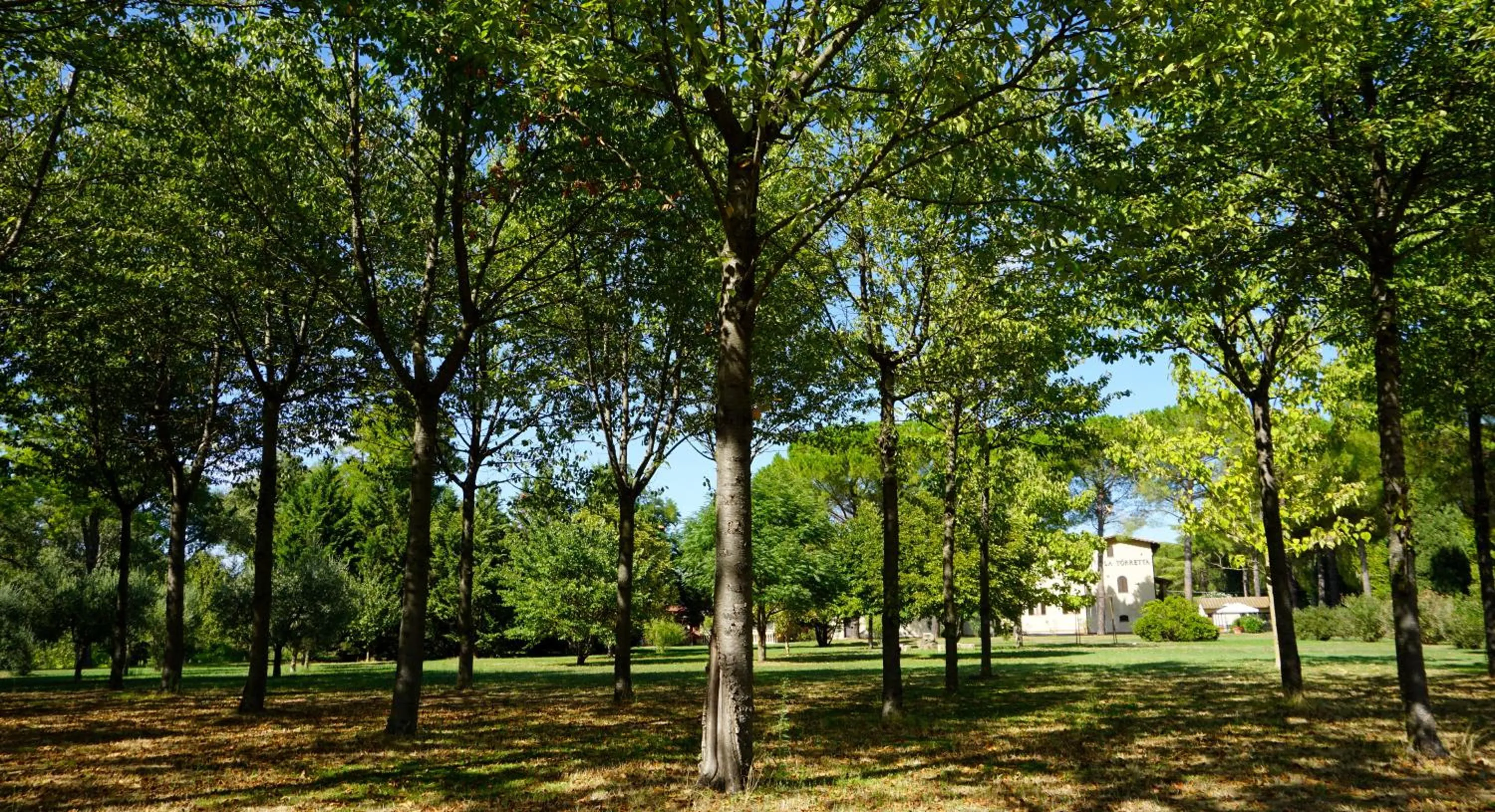 Natural landscape in Hotel La Torretta