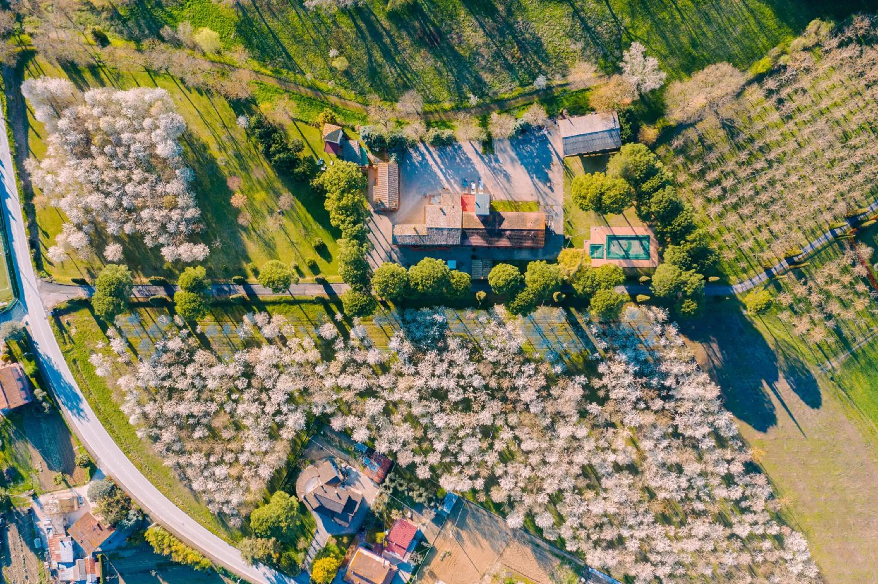 Property building in Hotel La Torretta