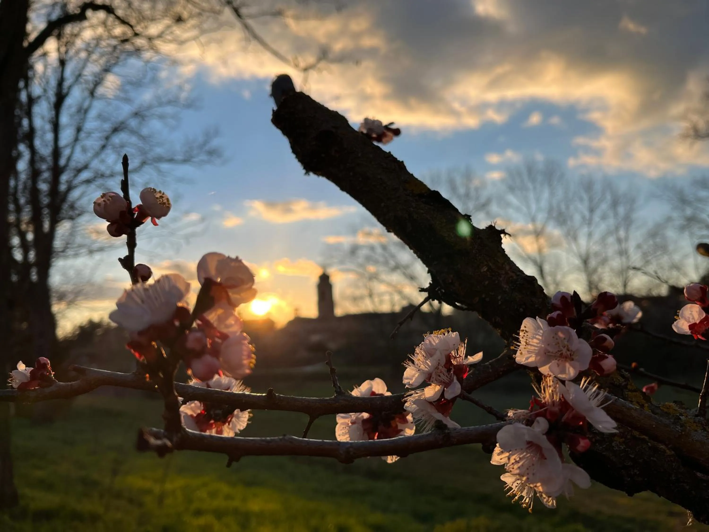 Garden in Hotel La Torretta
