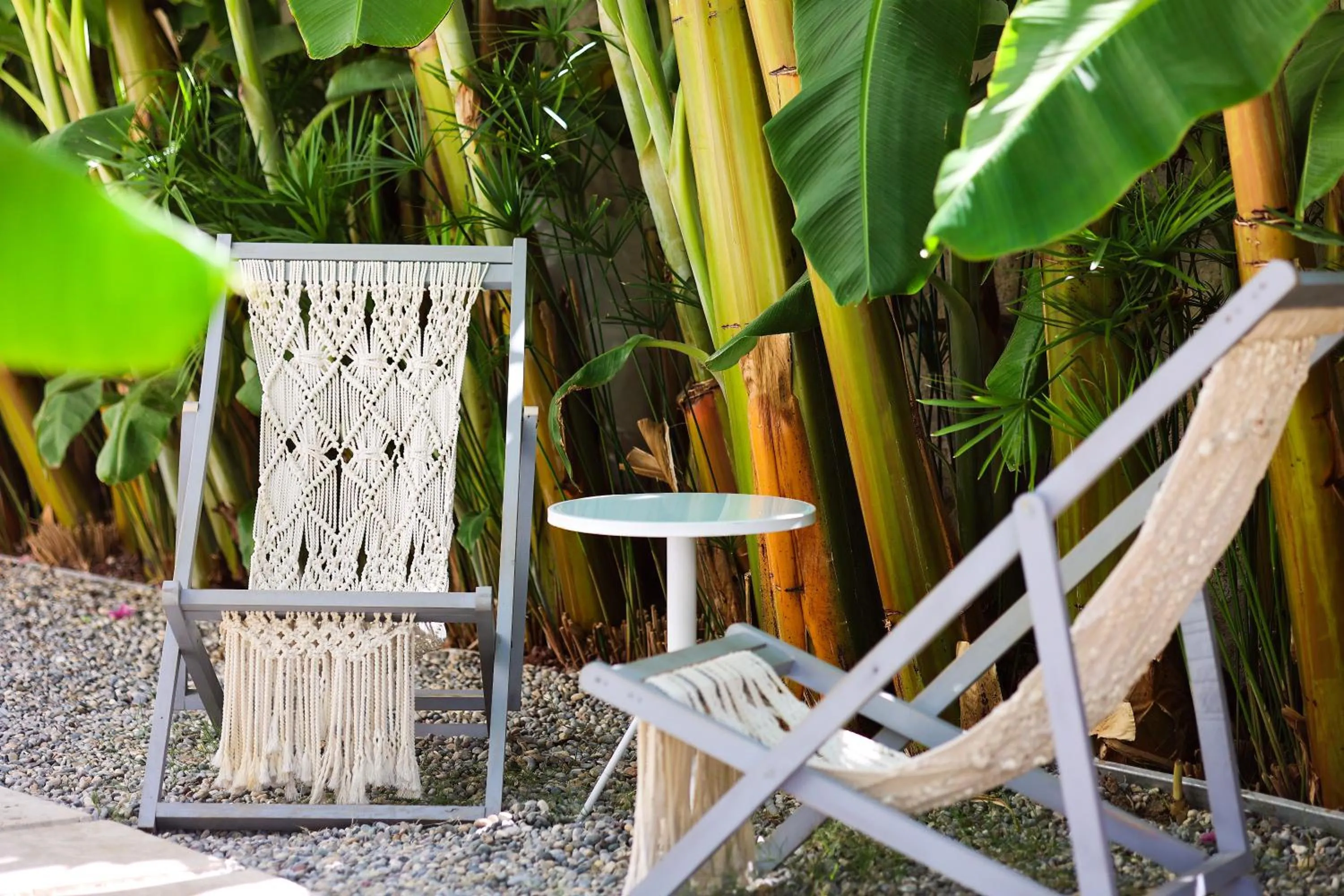 Garden view in Voger Alaçatı Köyiçi