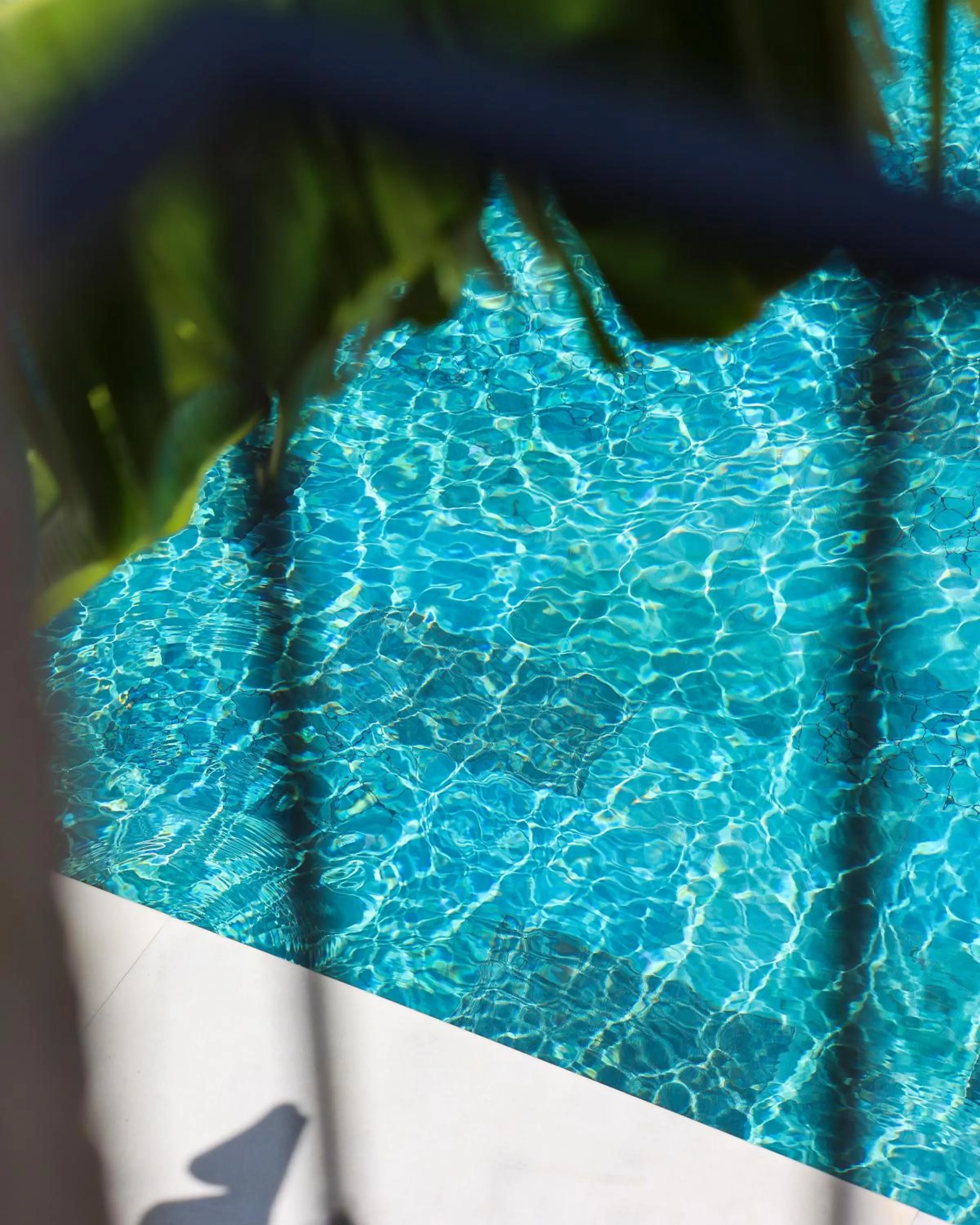 Pool view in Voger Alaçatı Köyiçi