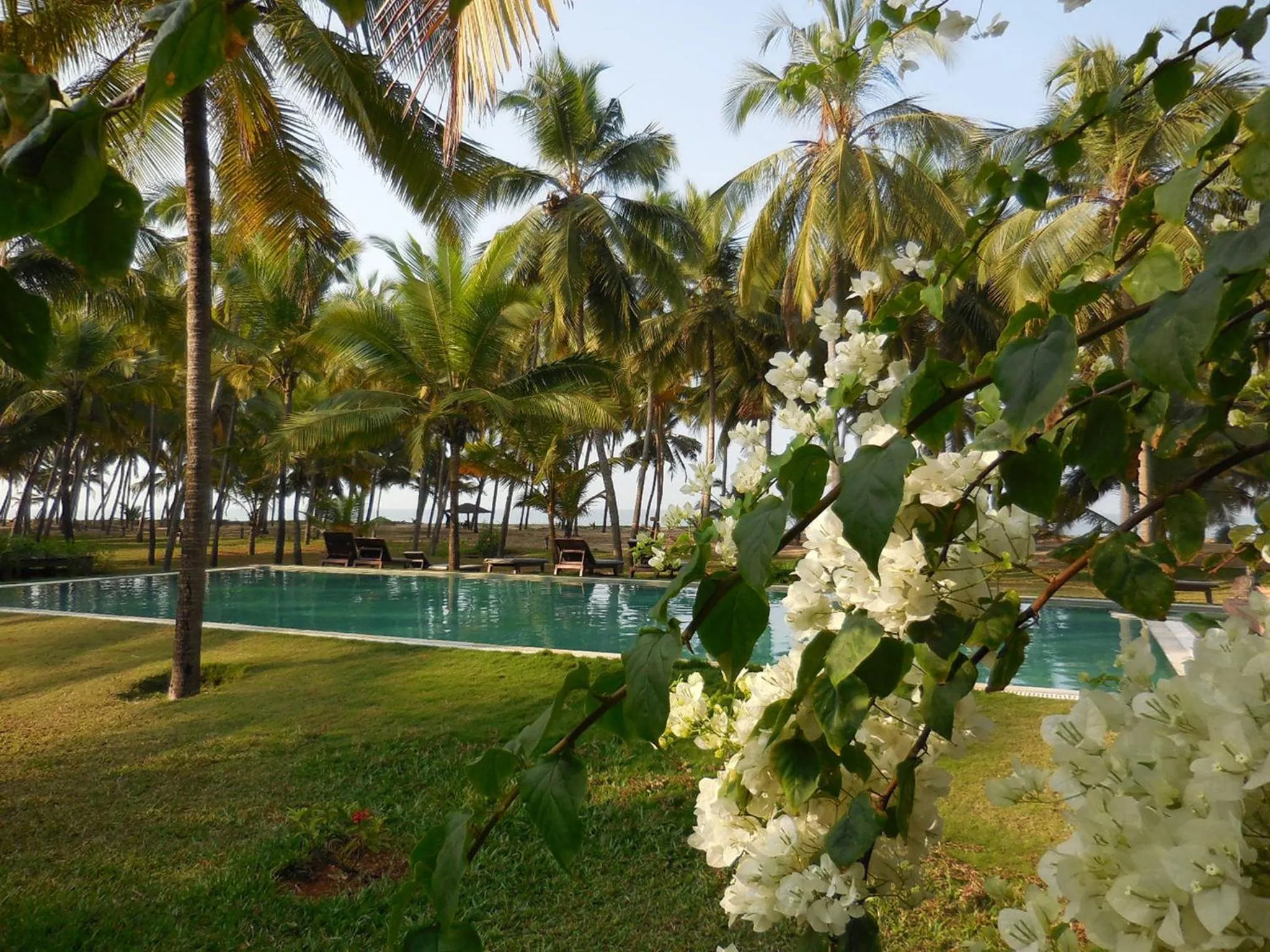 Swimming pool in Kanan Beach Resort