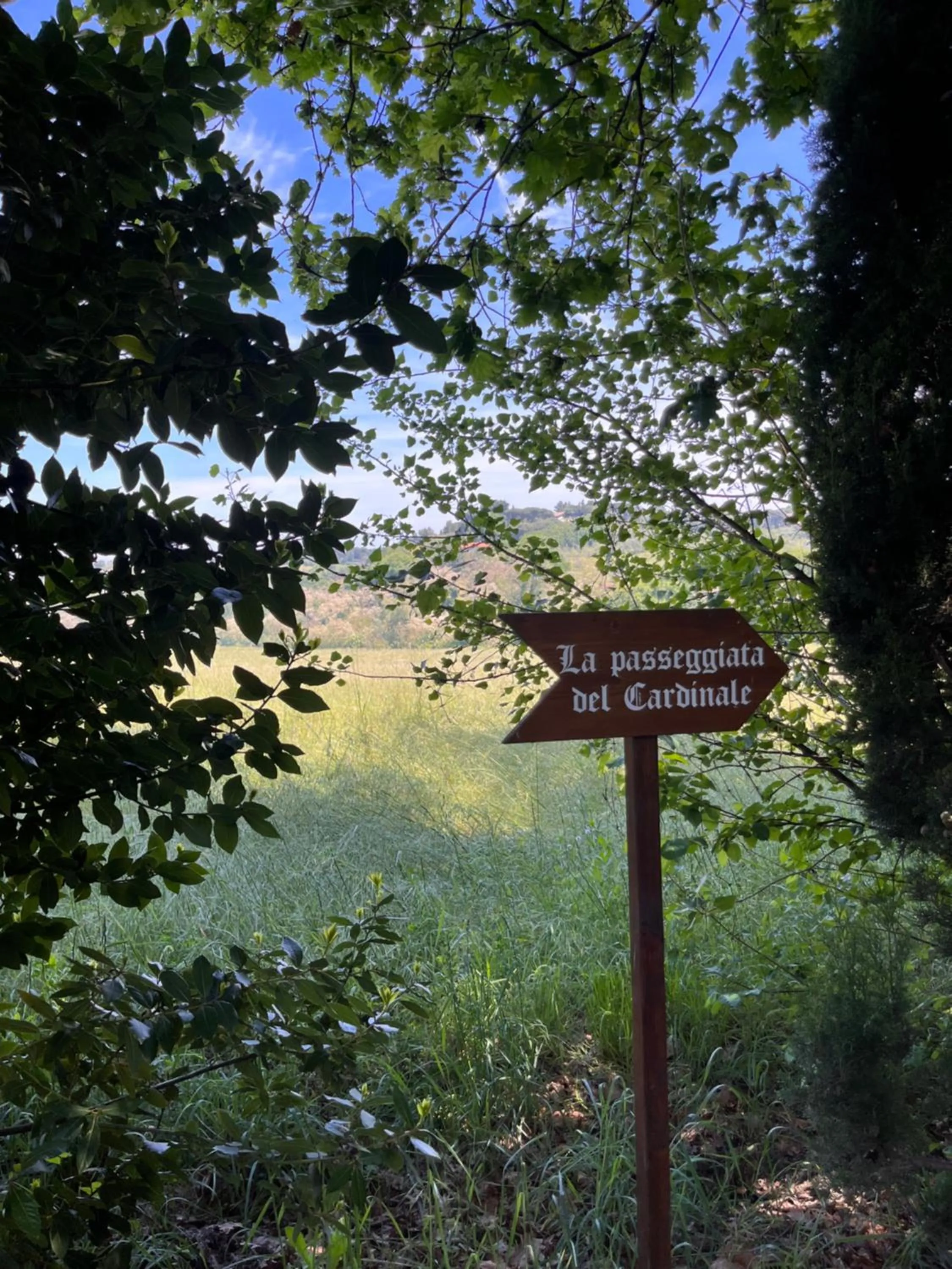 Natural landscape in Villa Cattani Stuart XVII secolo