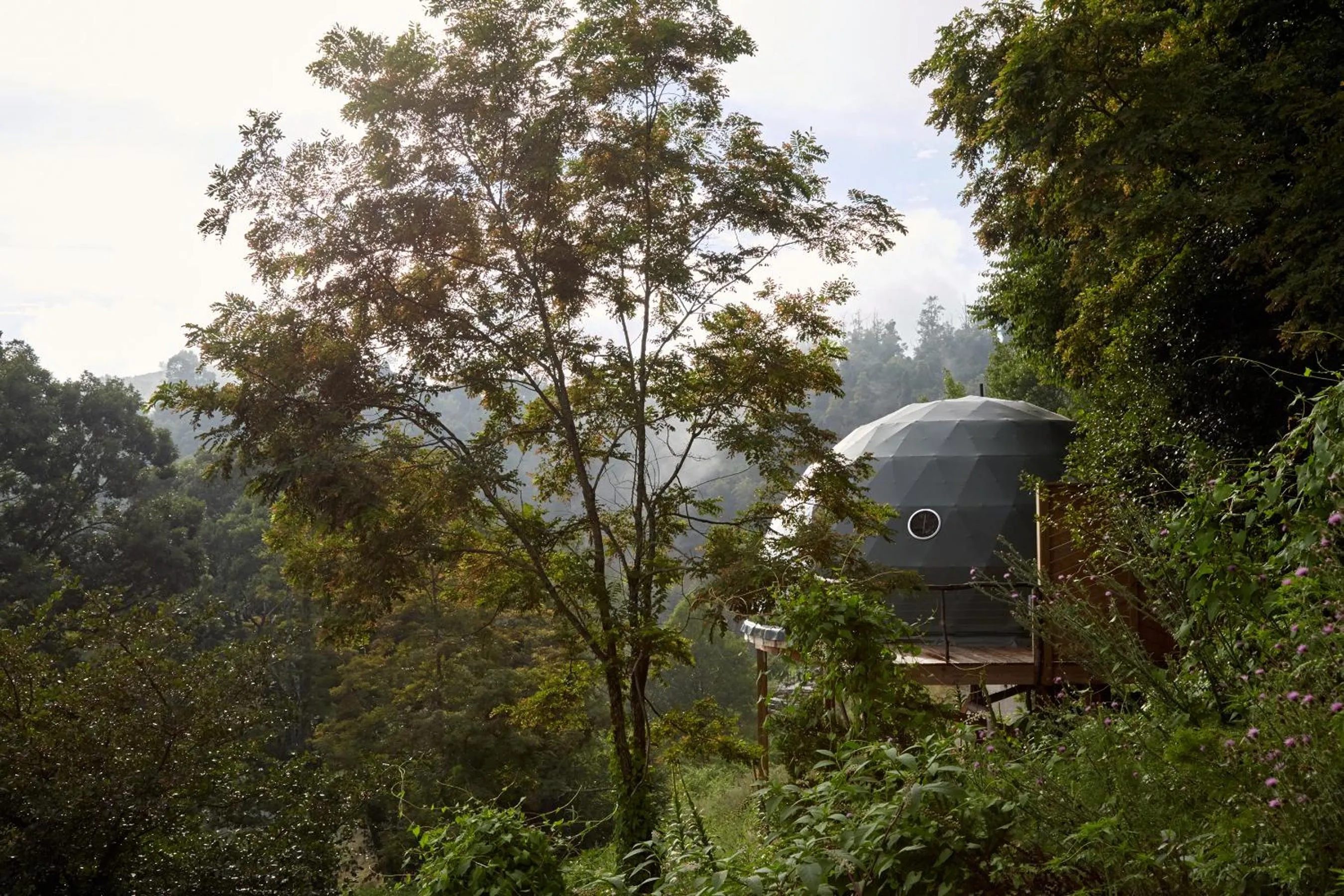 View (from property/room) in The Glamping Collective