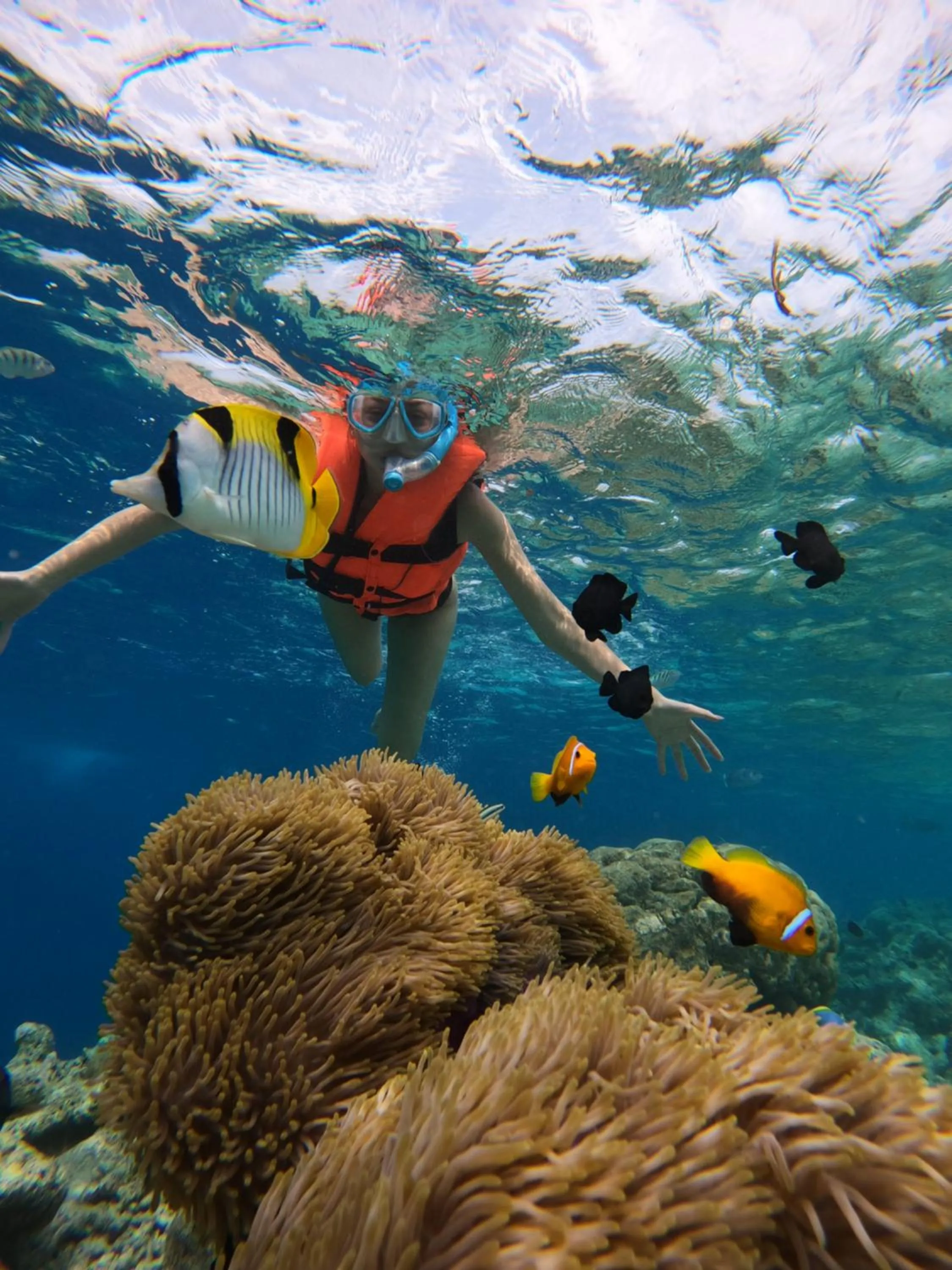 Snorkeling in Kaani Village & Spa