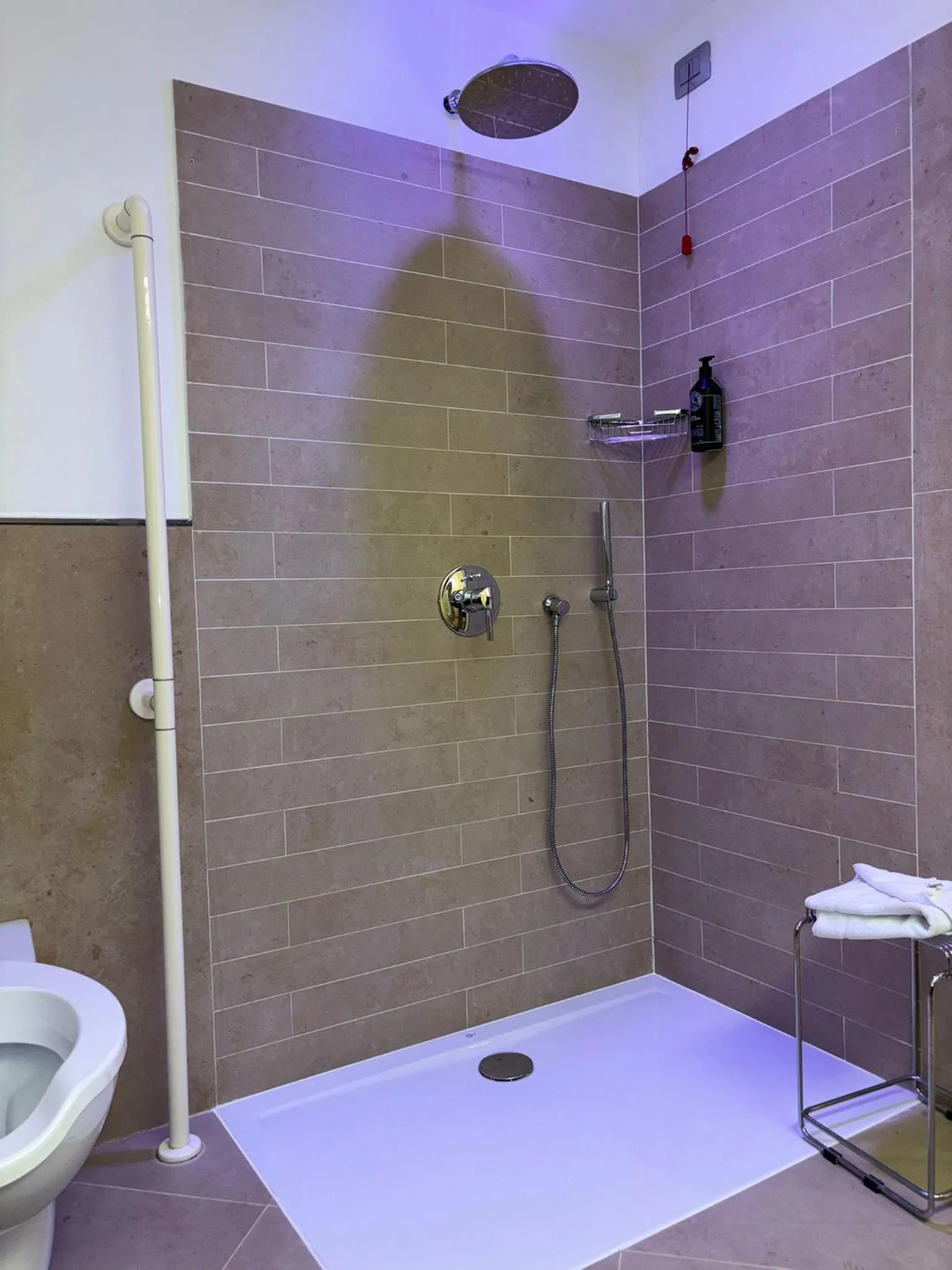 Facility for disabled guests in AS Hotel Limbiate Fiera