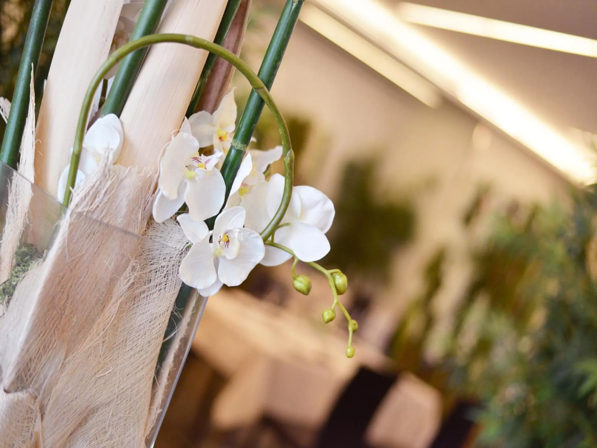 Restaurant/places to eat in AS Hotel Limbiate Fiera