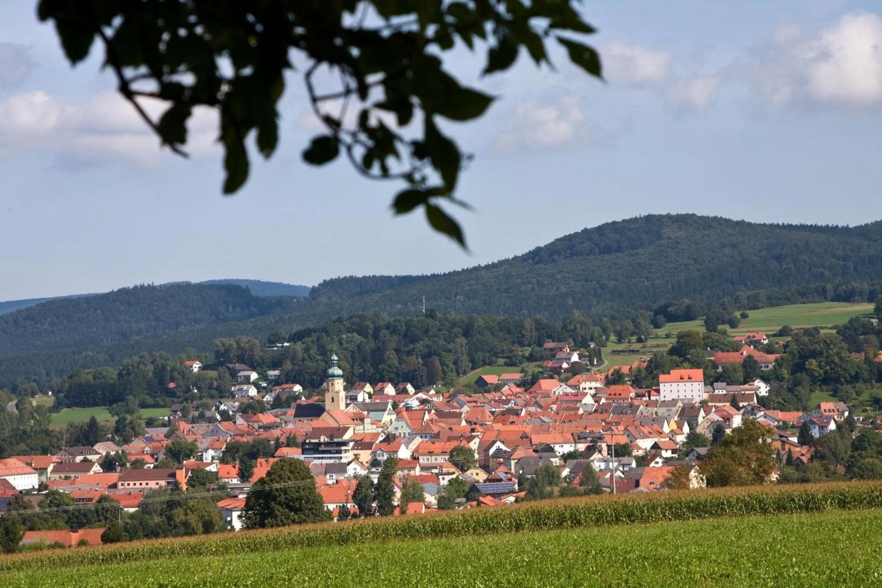 Natural landscape in Wellnesshaus Waldmünchen
