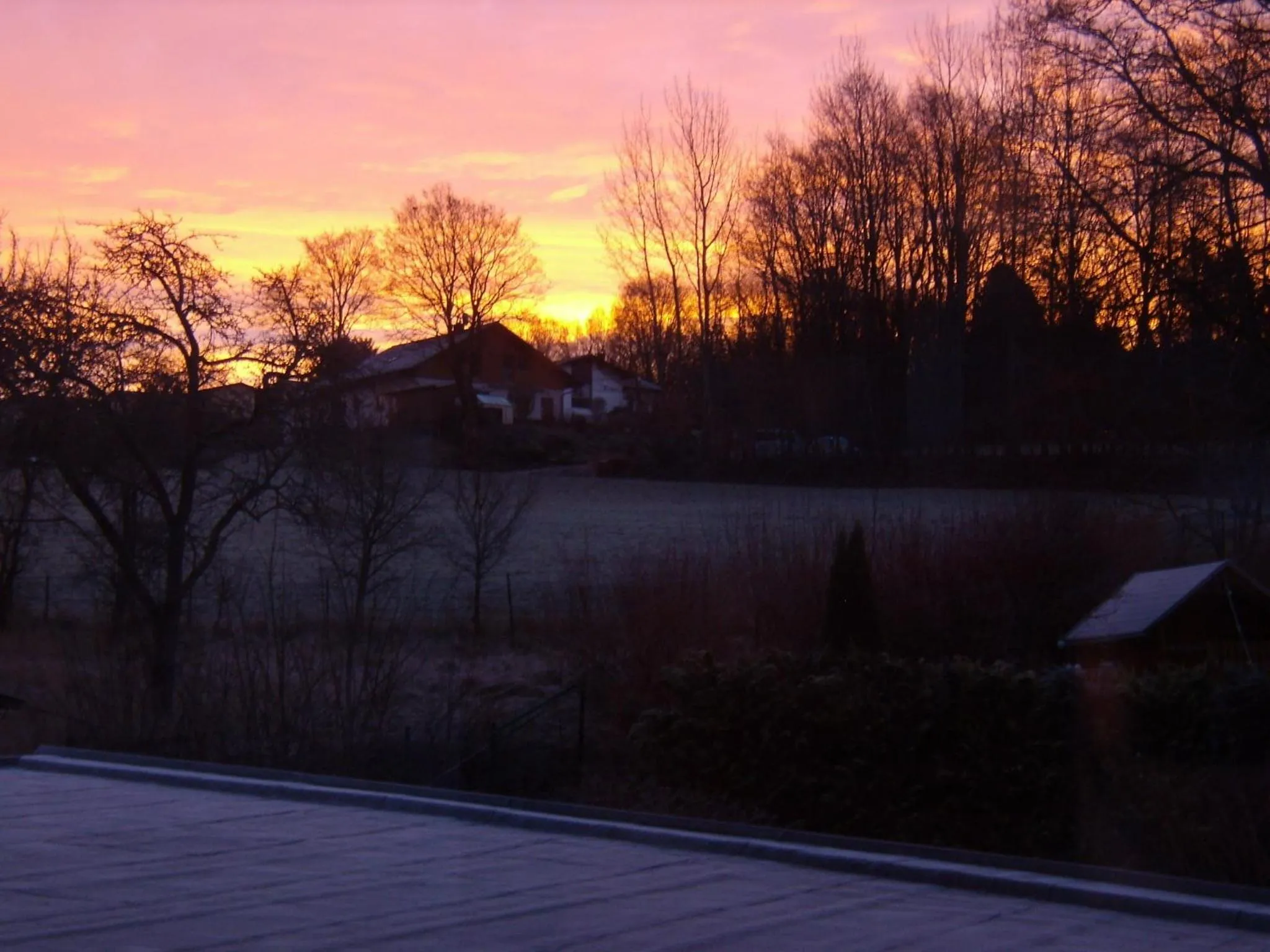 Garden in Wellnesshaus Waldmünchen