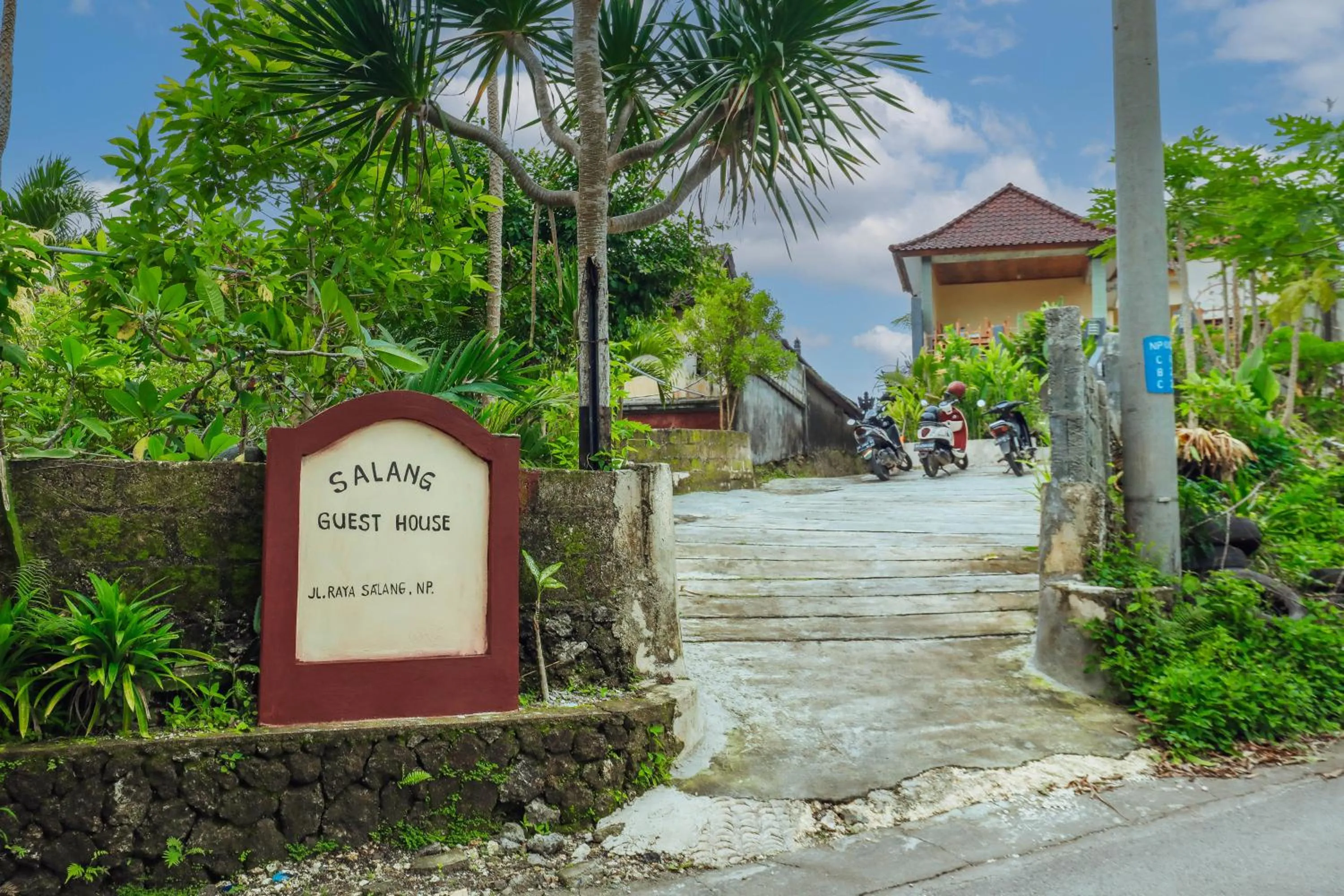 Garden view in The Salang Guest House