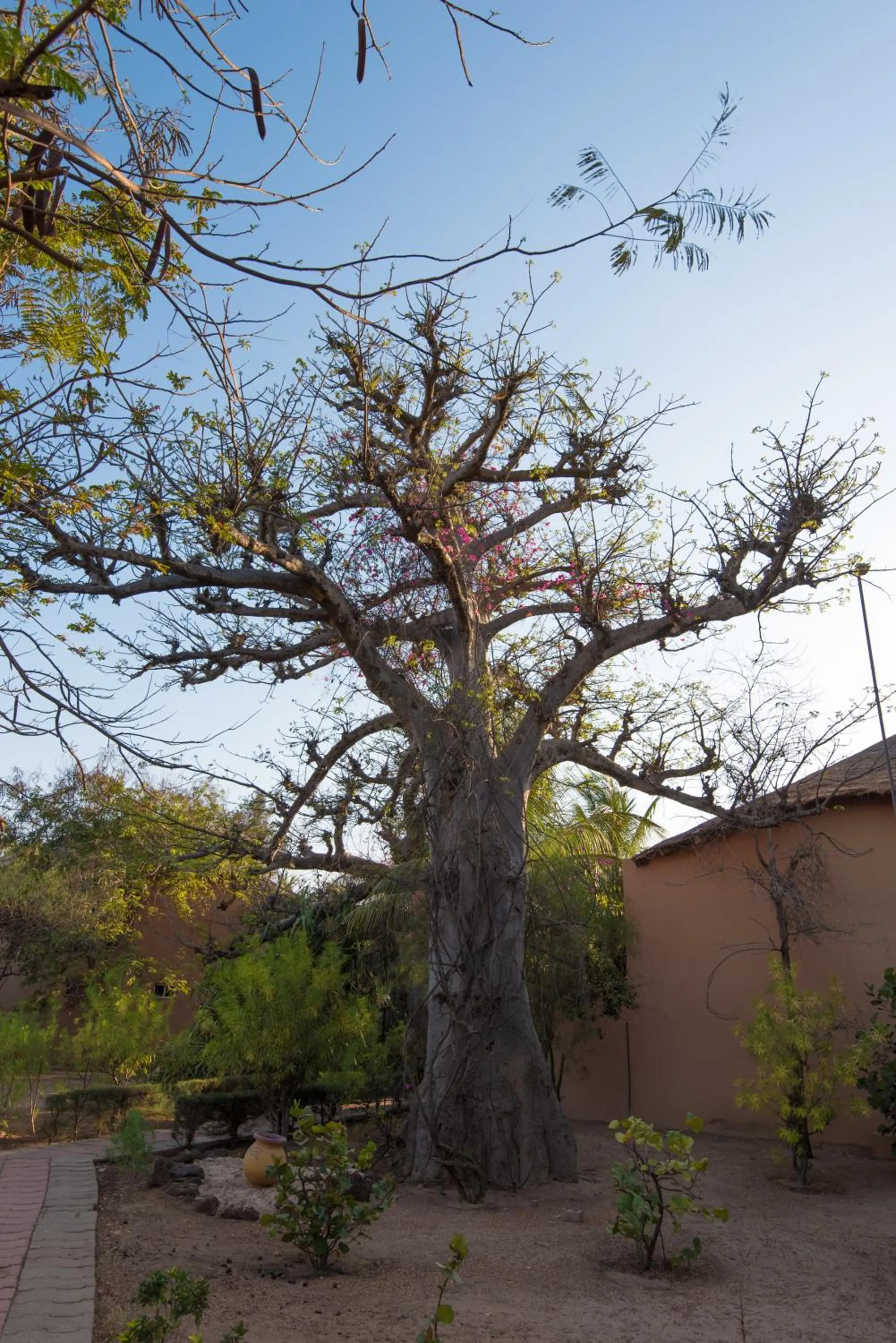 Decorative detail in Royal Saly