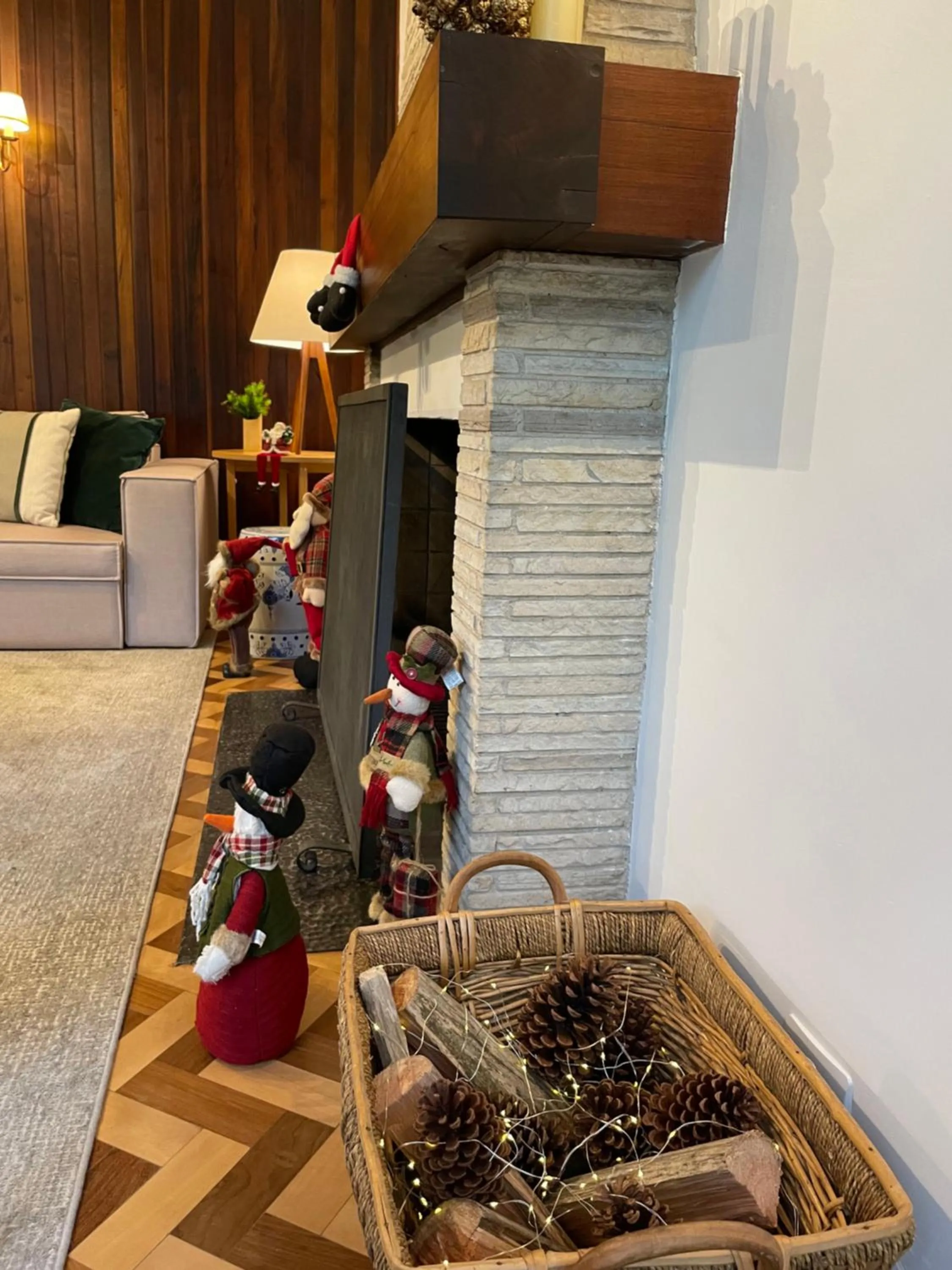 Living room in Casa Três Rios - Campos do Jordão
