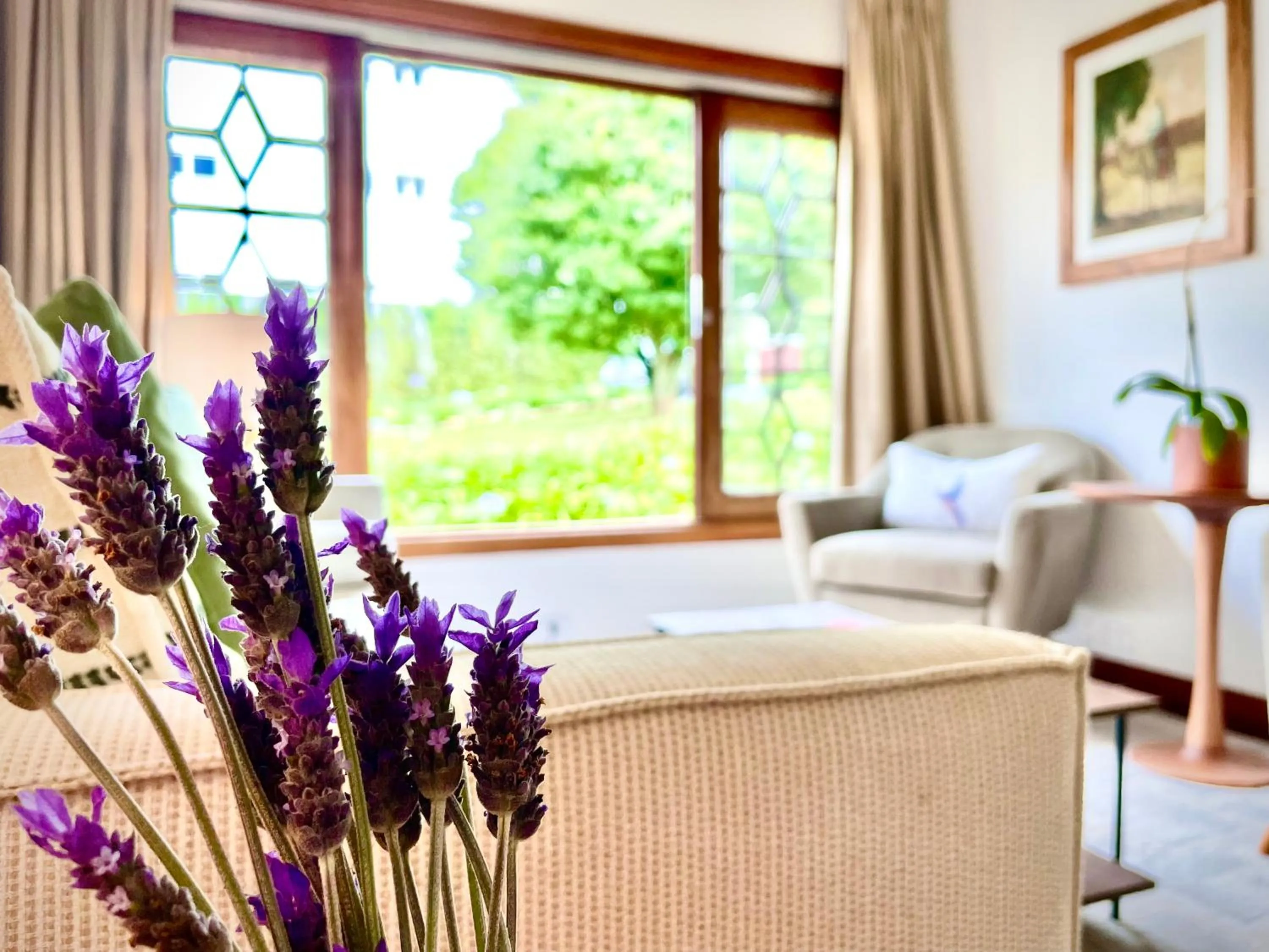 Living room in Casa Três Rios - Campos do Jordão