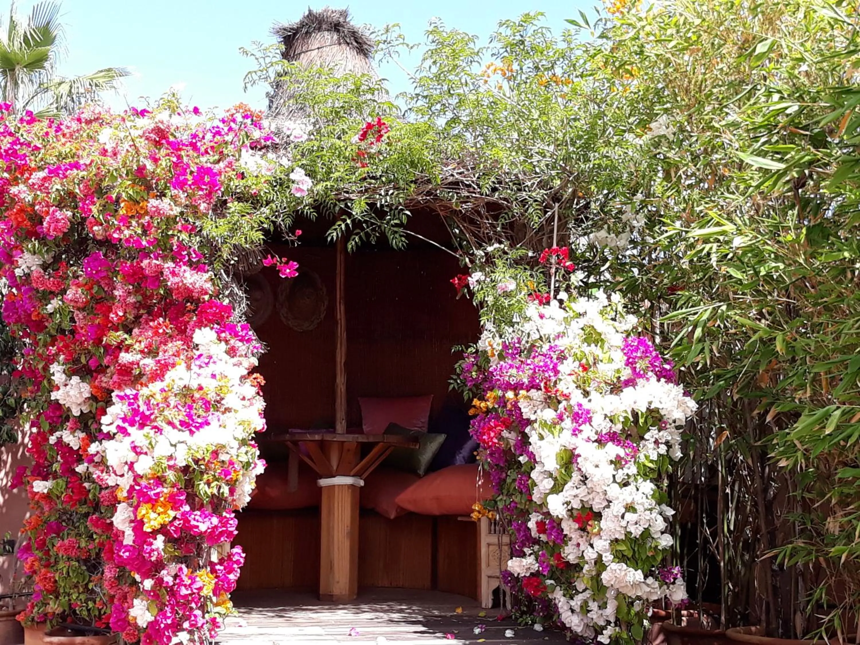 Spring in Riad Jnane d'Ô