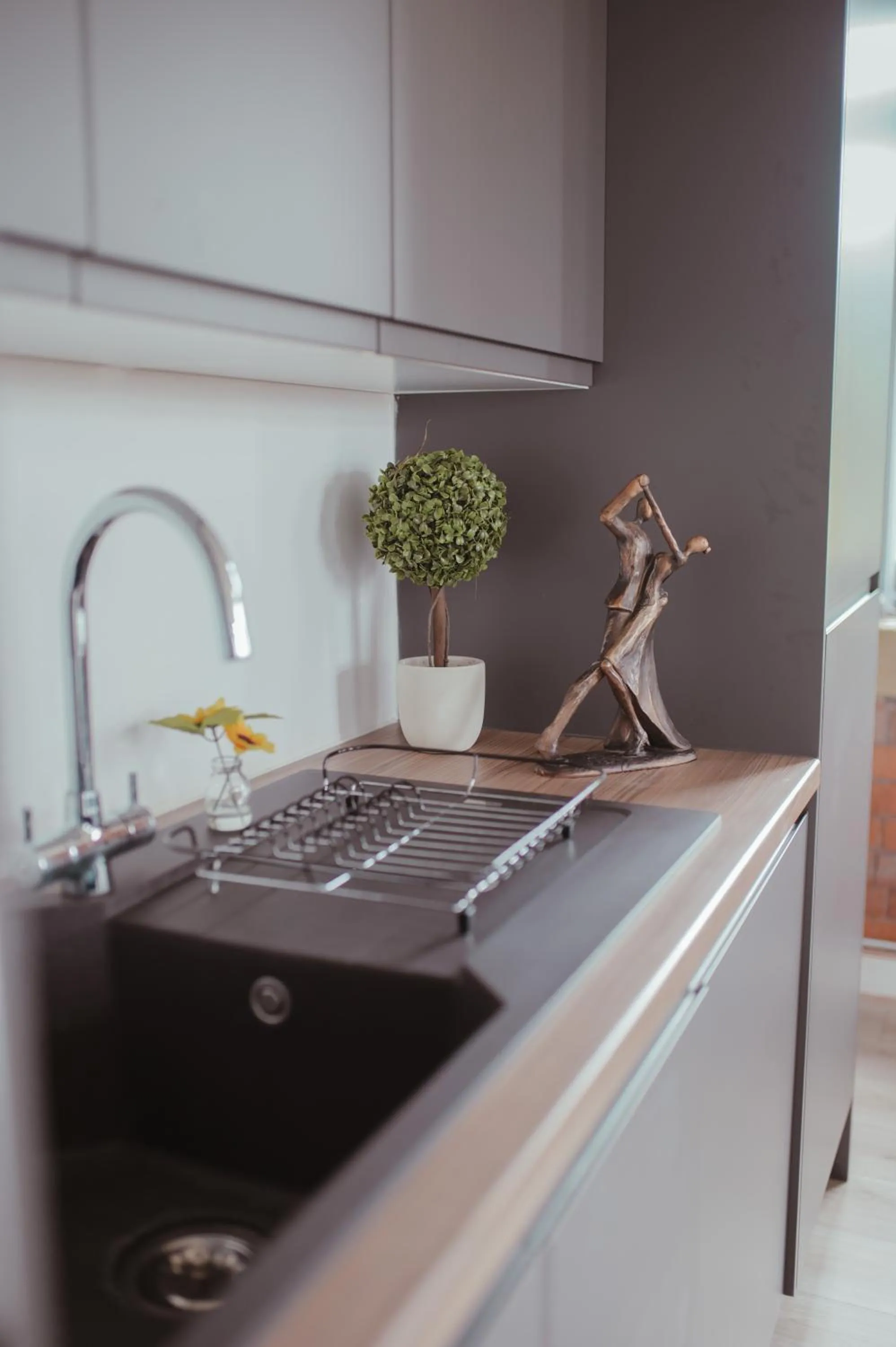 Kitchen or kitchenette in Bv Luxury Apartment Penthouse Conditioning House