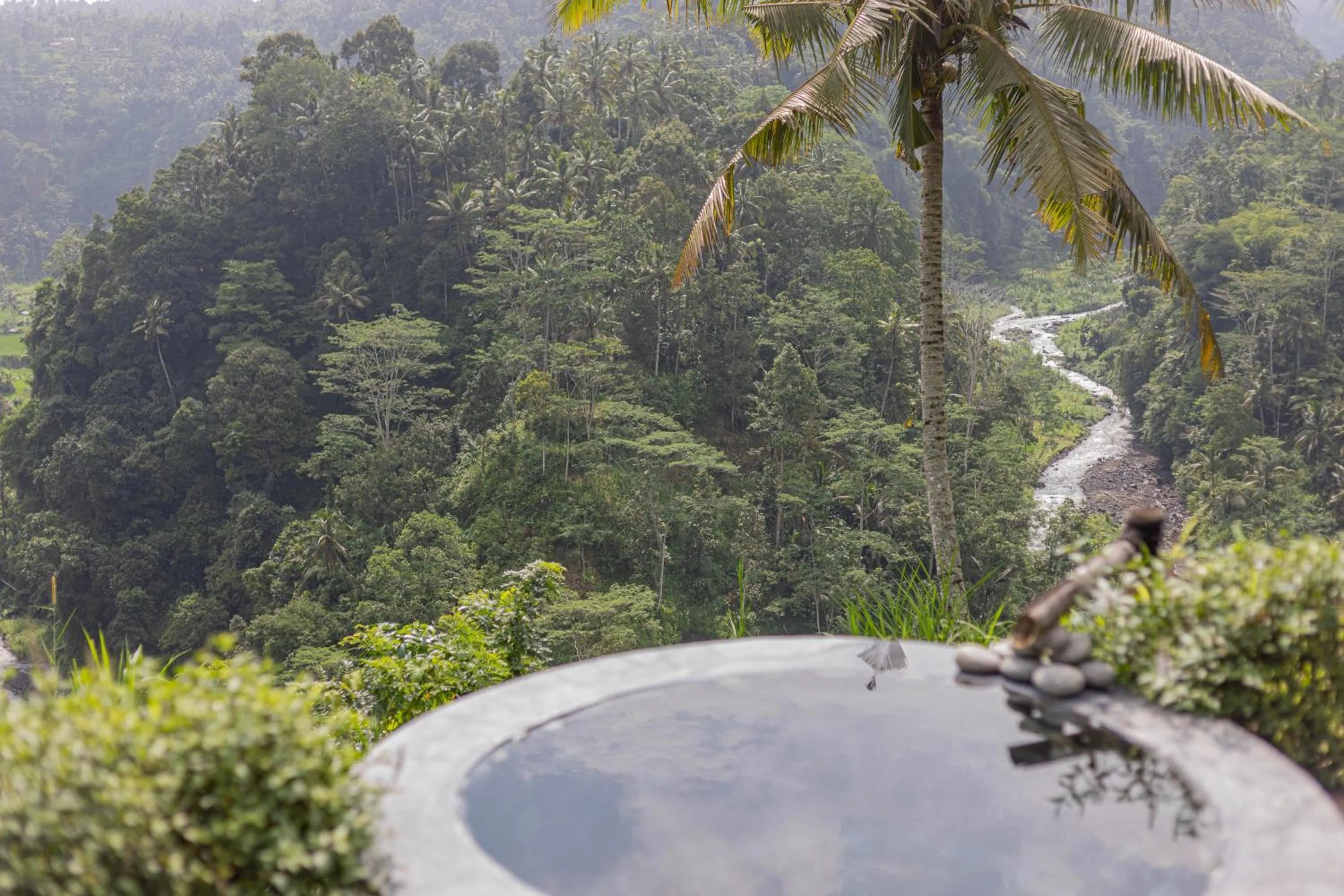 Pool view in Shigar Livin Bali