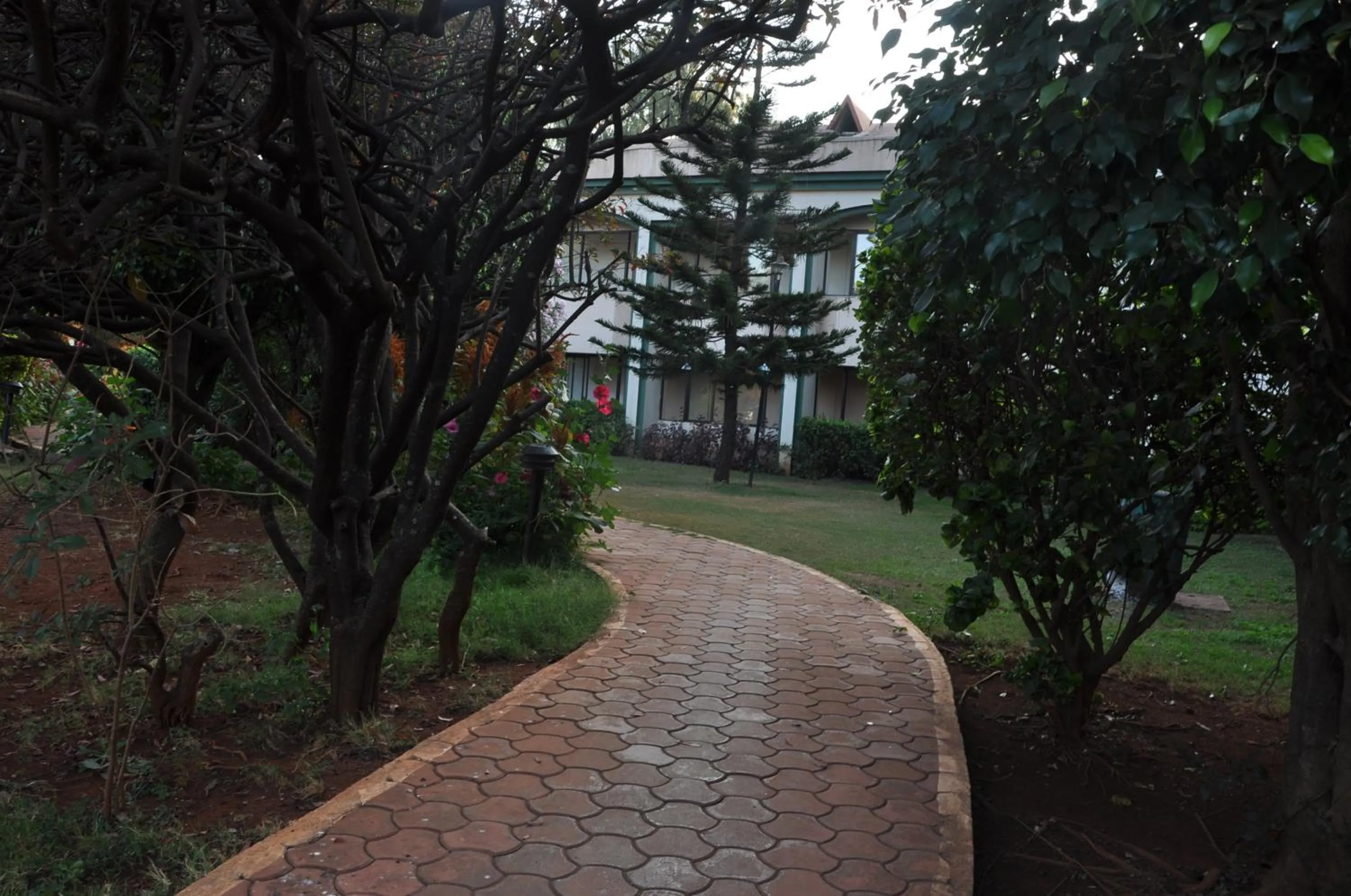 Day in Blue Country Resort