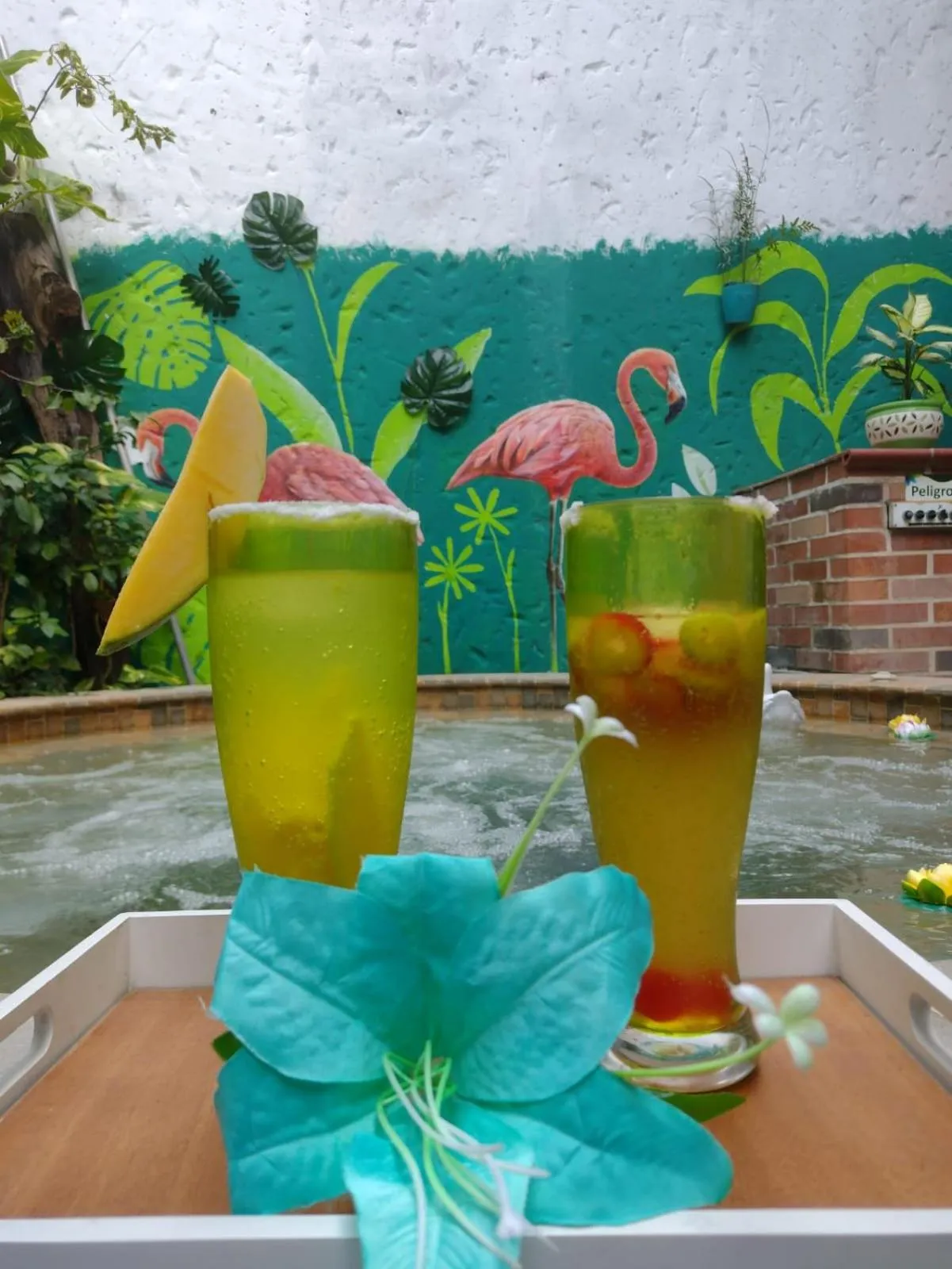 Area and facilities in Hotel Primavera Santa Fe