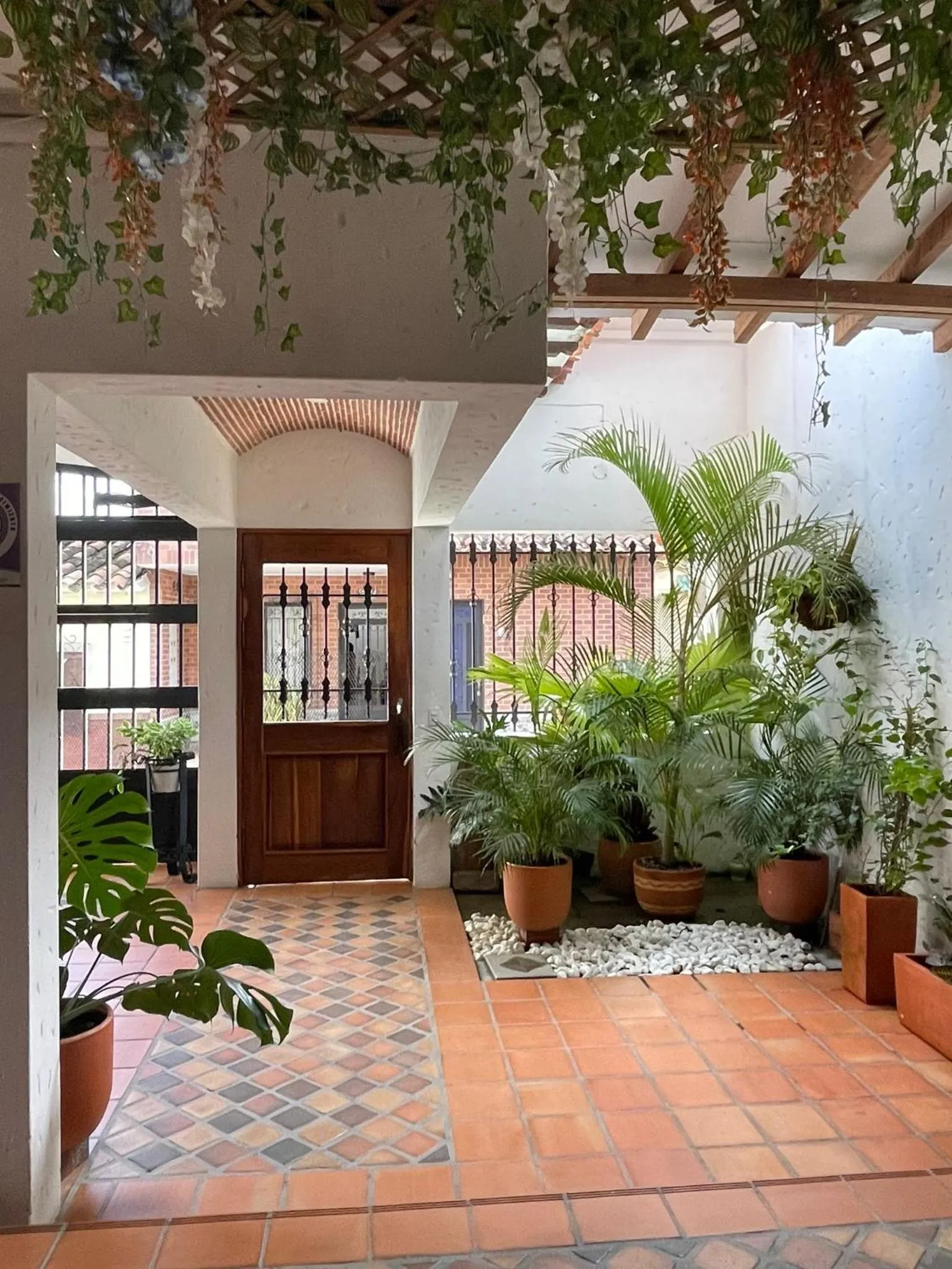 Garden in Hotel Primavera Santa Fe