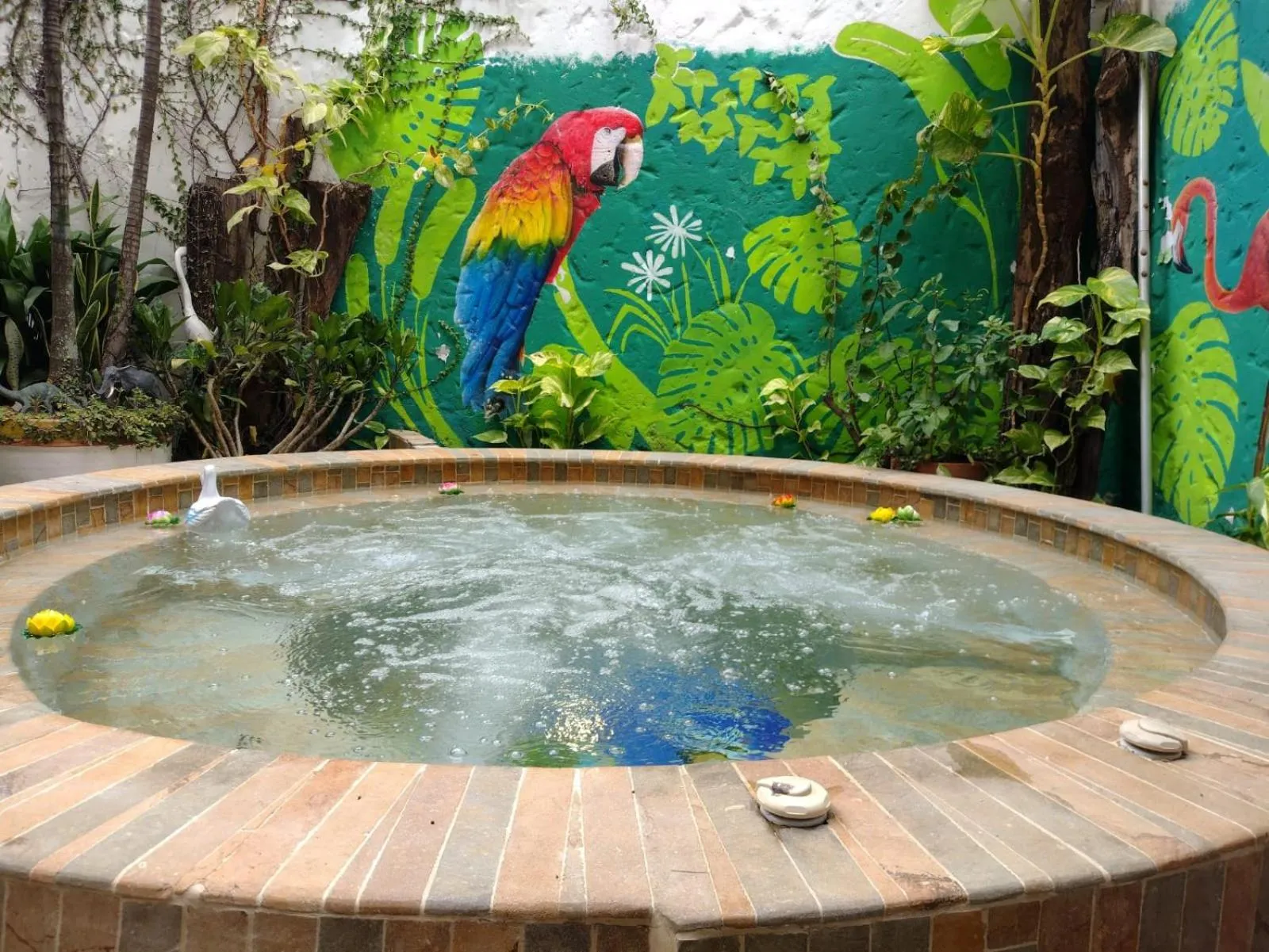 Garden view in Hotel Primavera Santa Fe