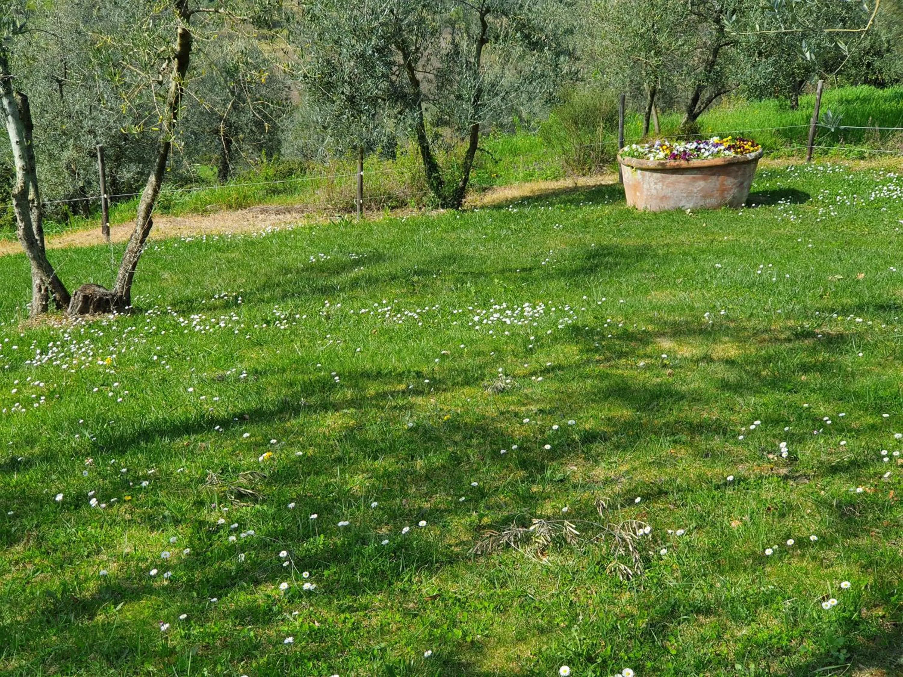 Natural landscape in Residenza Il Colle