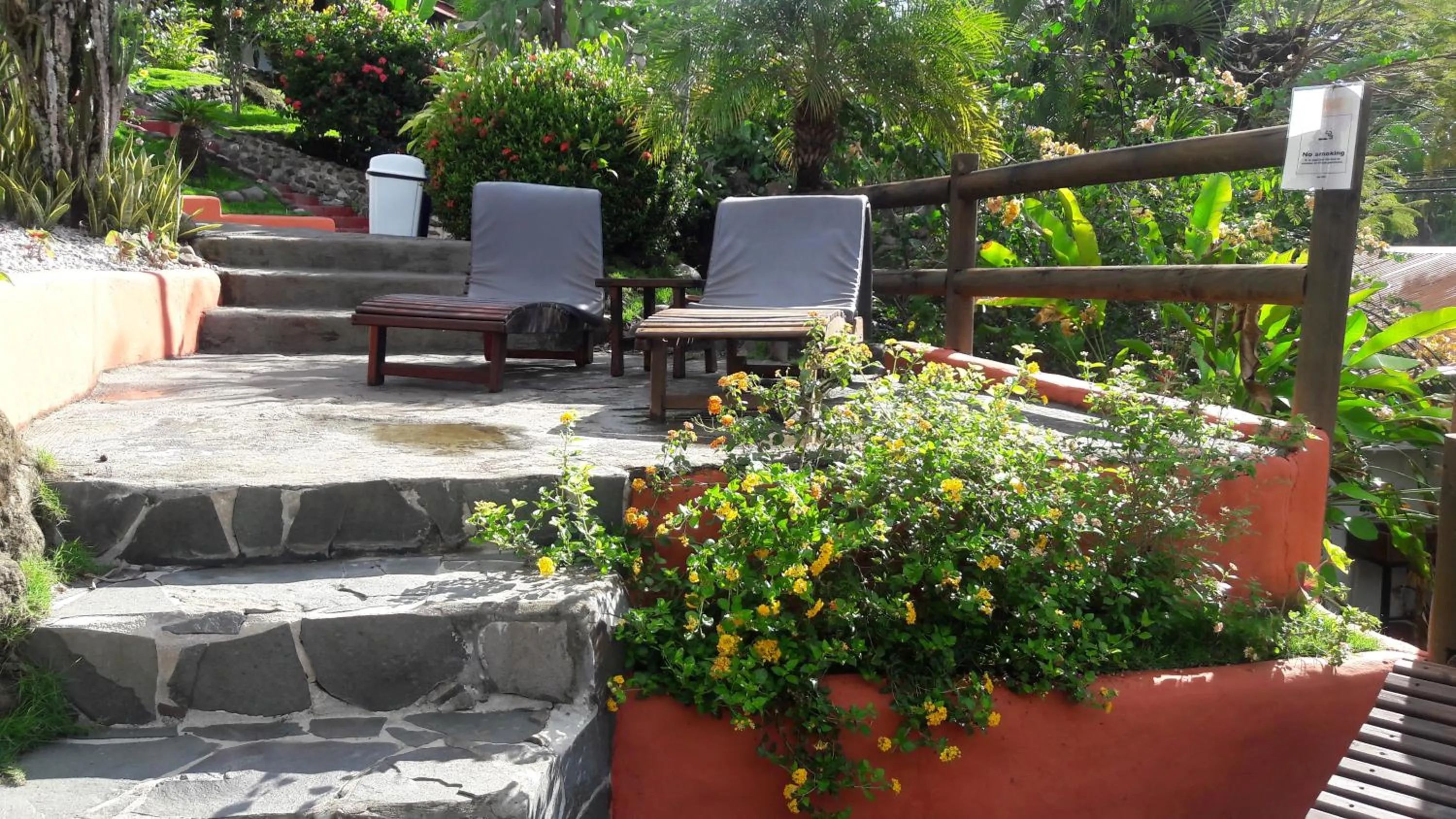 Garden in Hotel El Jardin