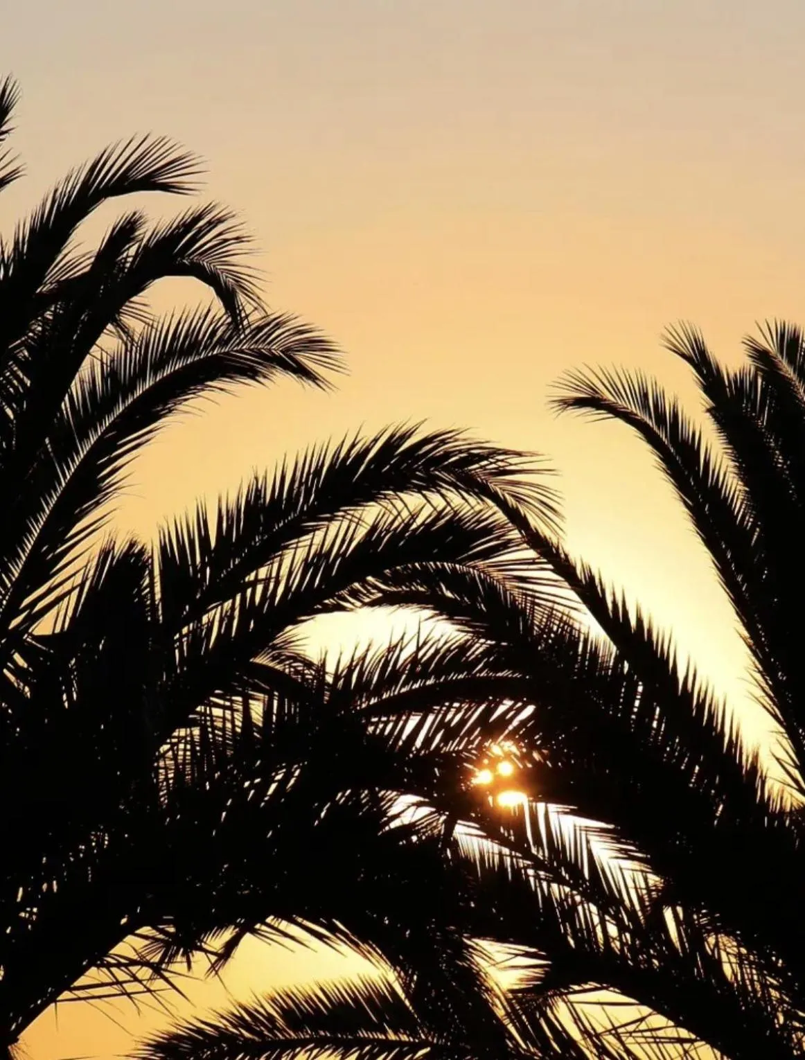 Day in Tenuta Aguglia