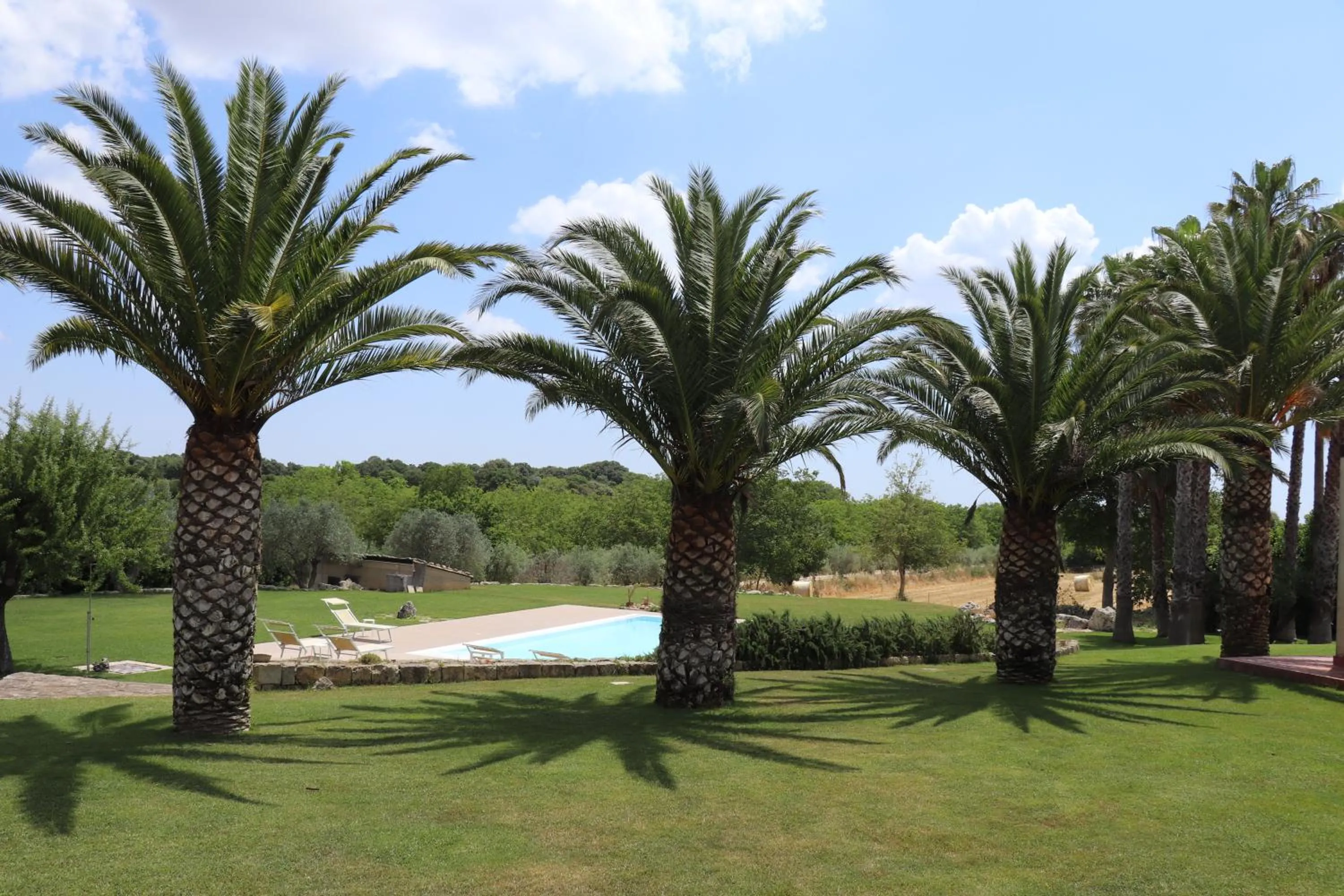 Day in Tenuta Aguglia