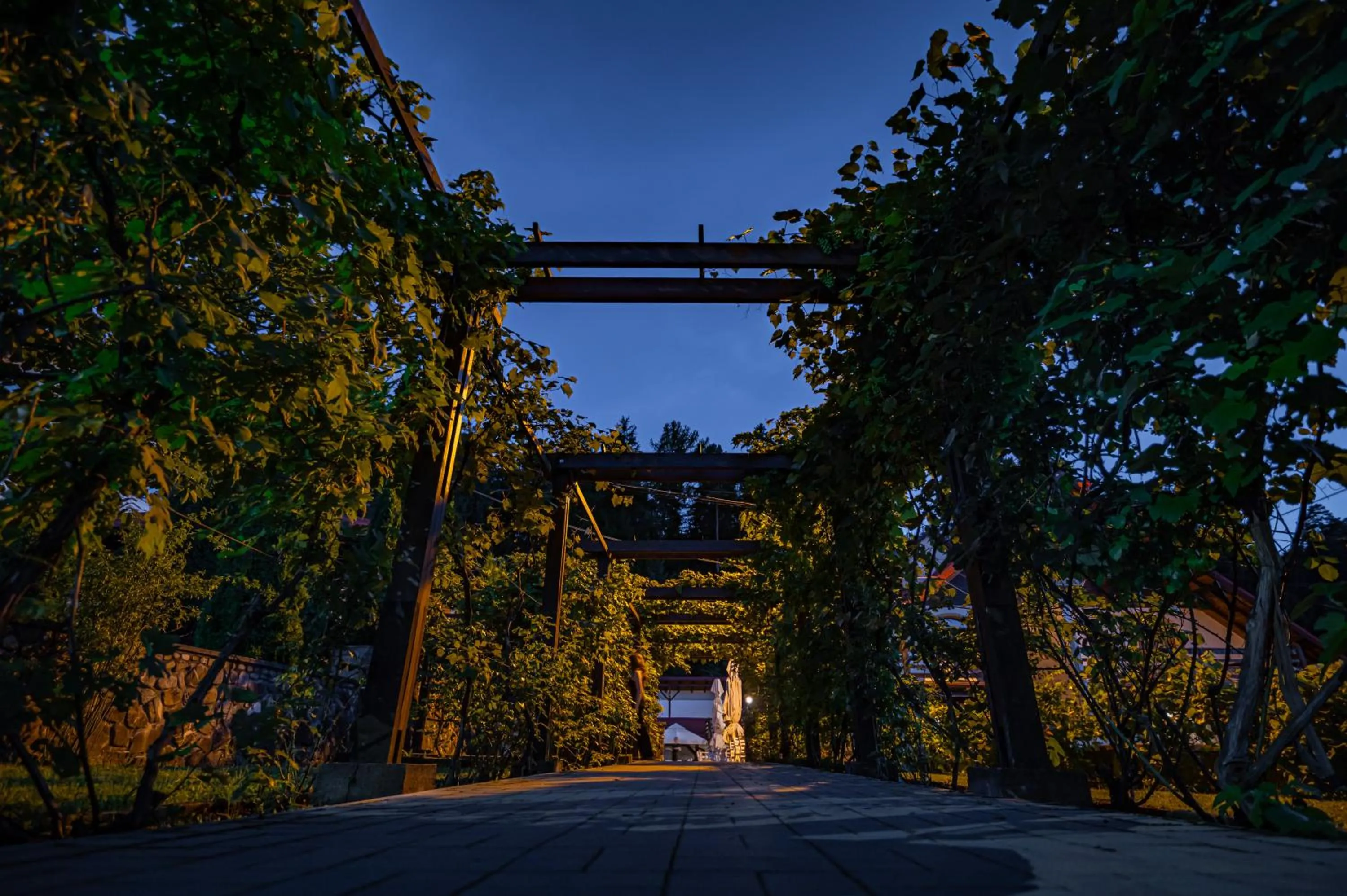 Restaurant/places to eat in Q Chalet