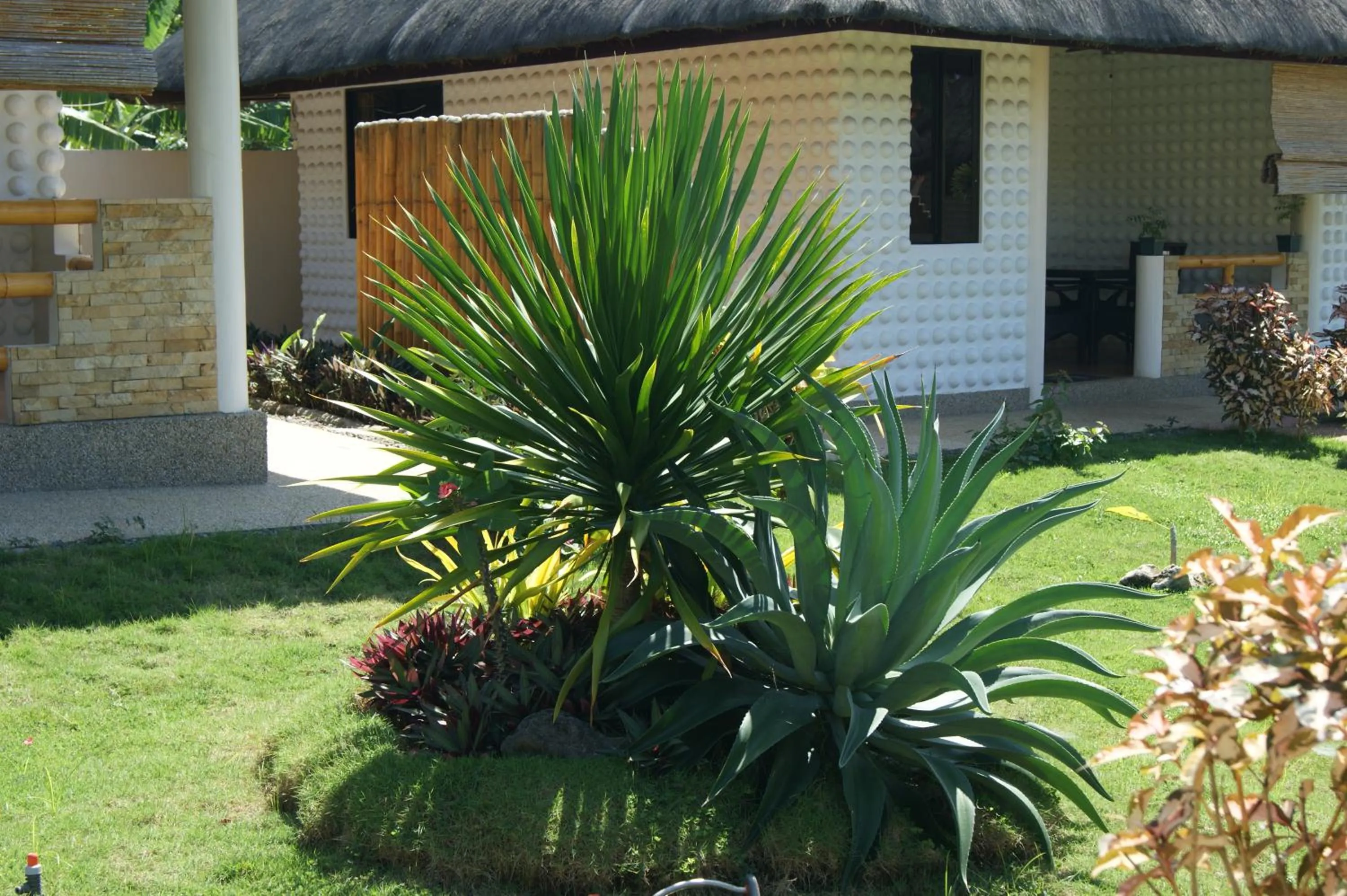 Garden in Panglao Homes Resort & Villas